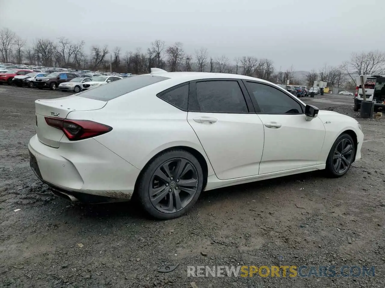 3 Photograph of a damaged car 19UUB5F51MA002031 ACURA TLX 2021