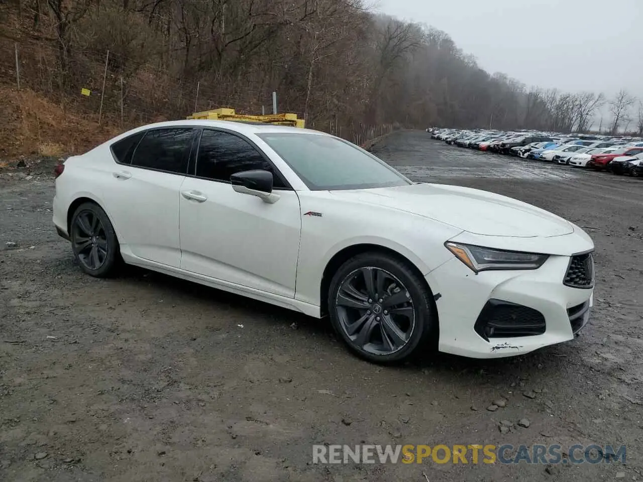 4 Photograph of a damaged car 19UUB5F51MA002031 ACURA TLX 2021