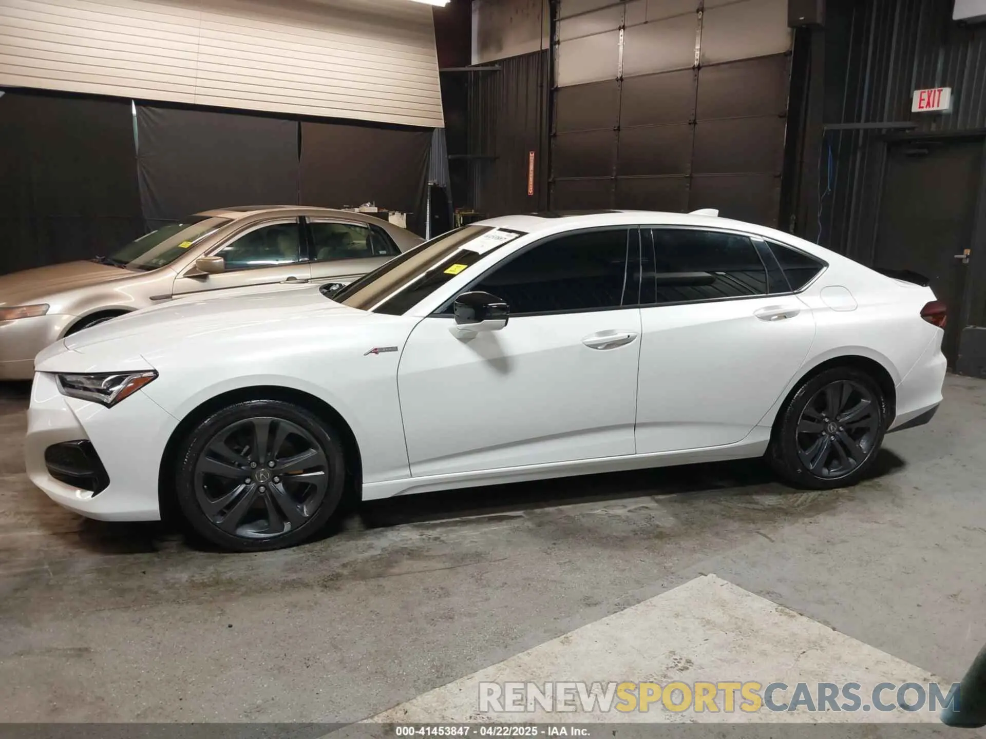 14 Photograph of a damaged car 19UUB5F53MA013077 ACURA TLX 2021