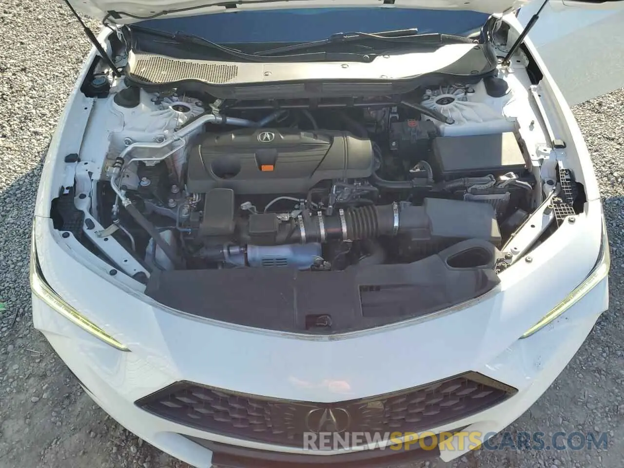 11 Photograph of a damaged car 19UUB5F53MA013676 ACURA TLX 2021
