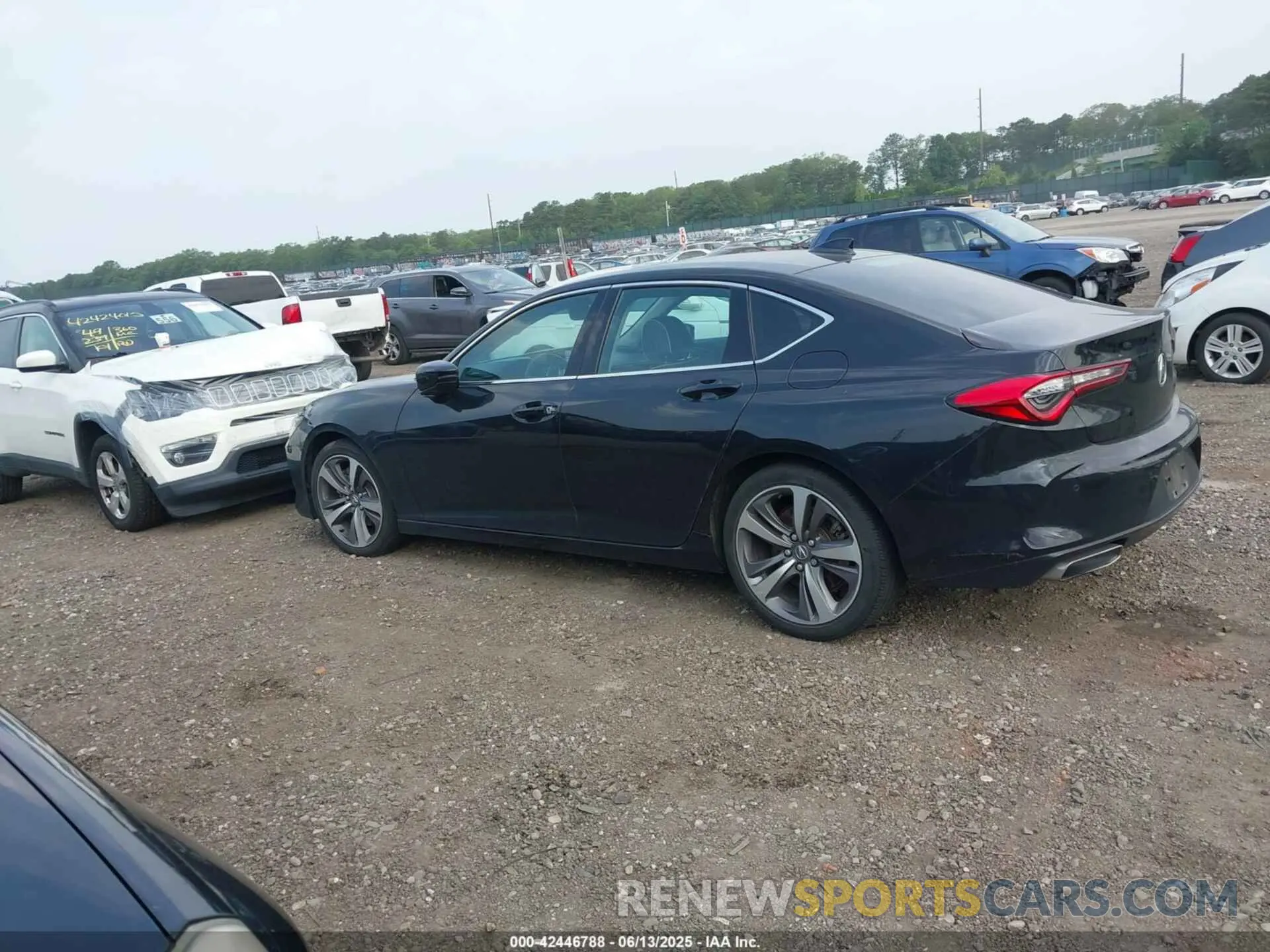 14 Photograph of a damaged car 19UUB5F66MA008819 ACURA TLX 2021