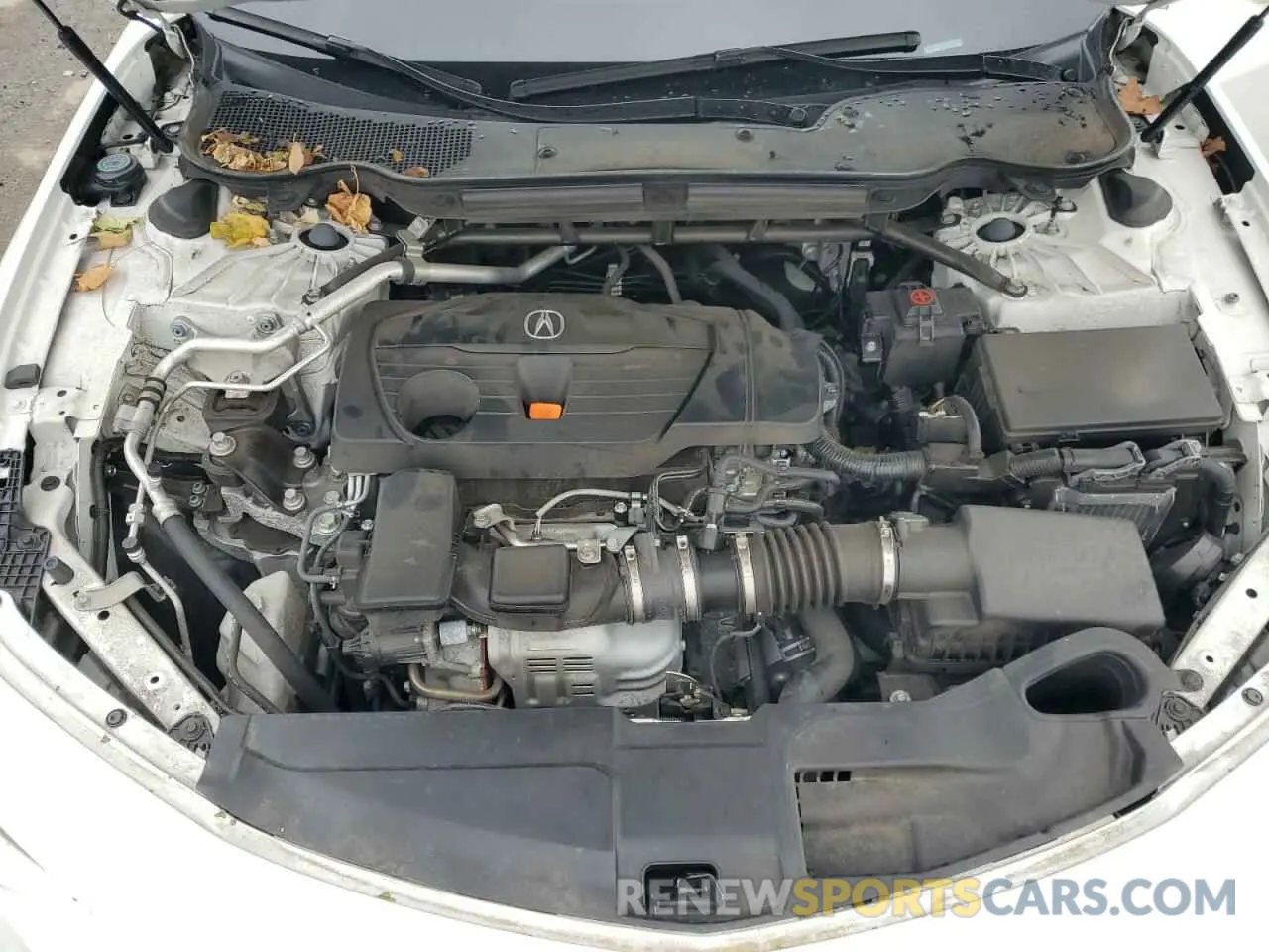 11 Photograph of a damaged car 19UUB6F3XMA002257 ACURA TLX 2021