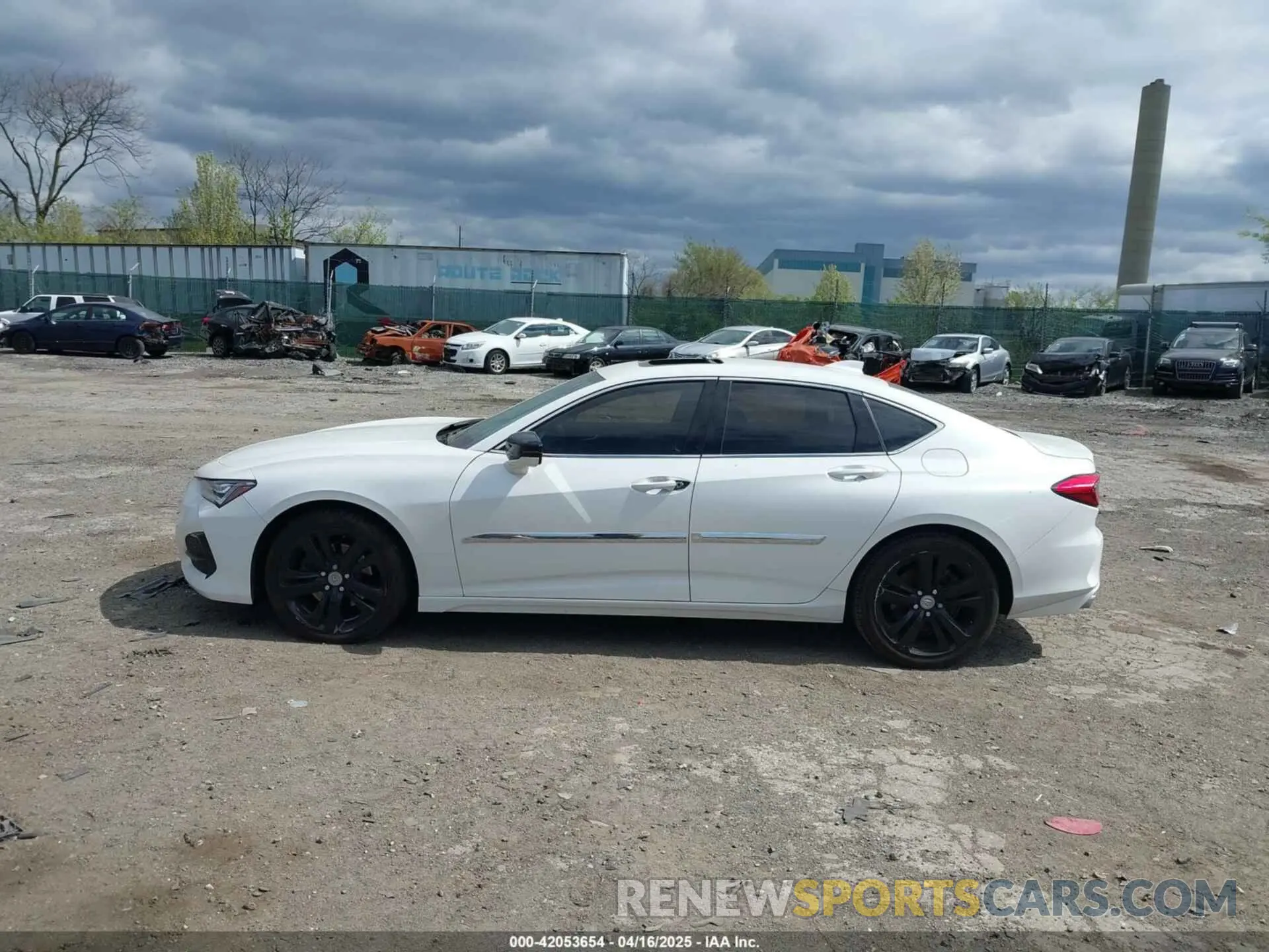 13 Photograph of a damaged car 19UUB6F42MA011351 ACURA TLX 2021