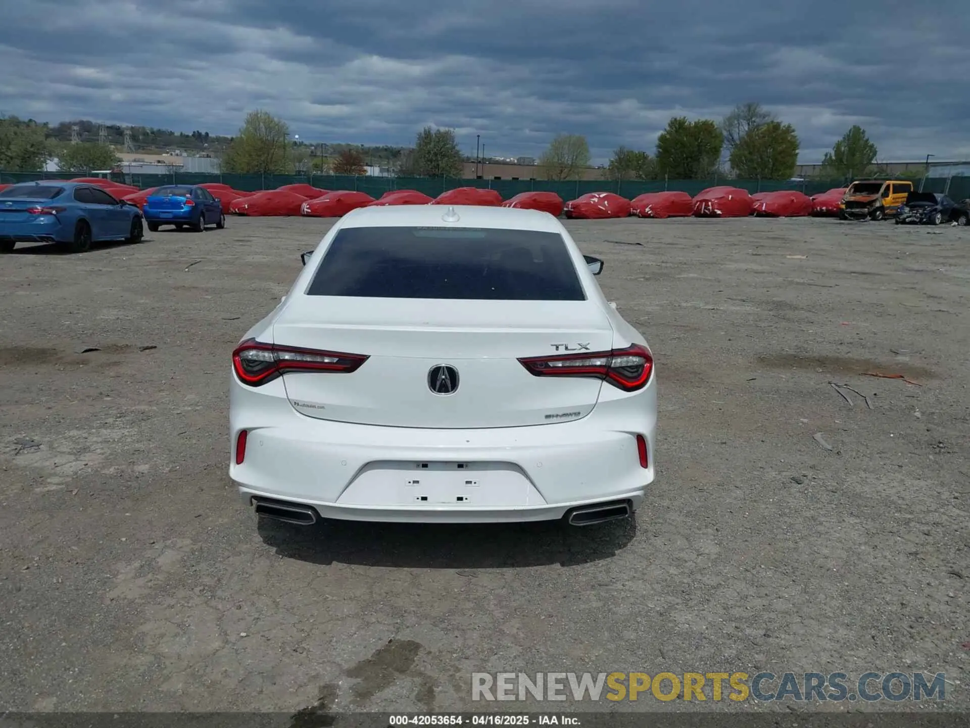 15 Photograph of a damaged car 19UUB6F42MA011351 ACURA TLX 2021