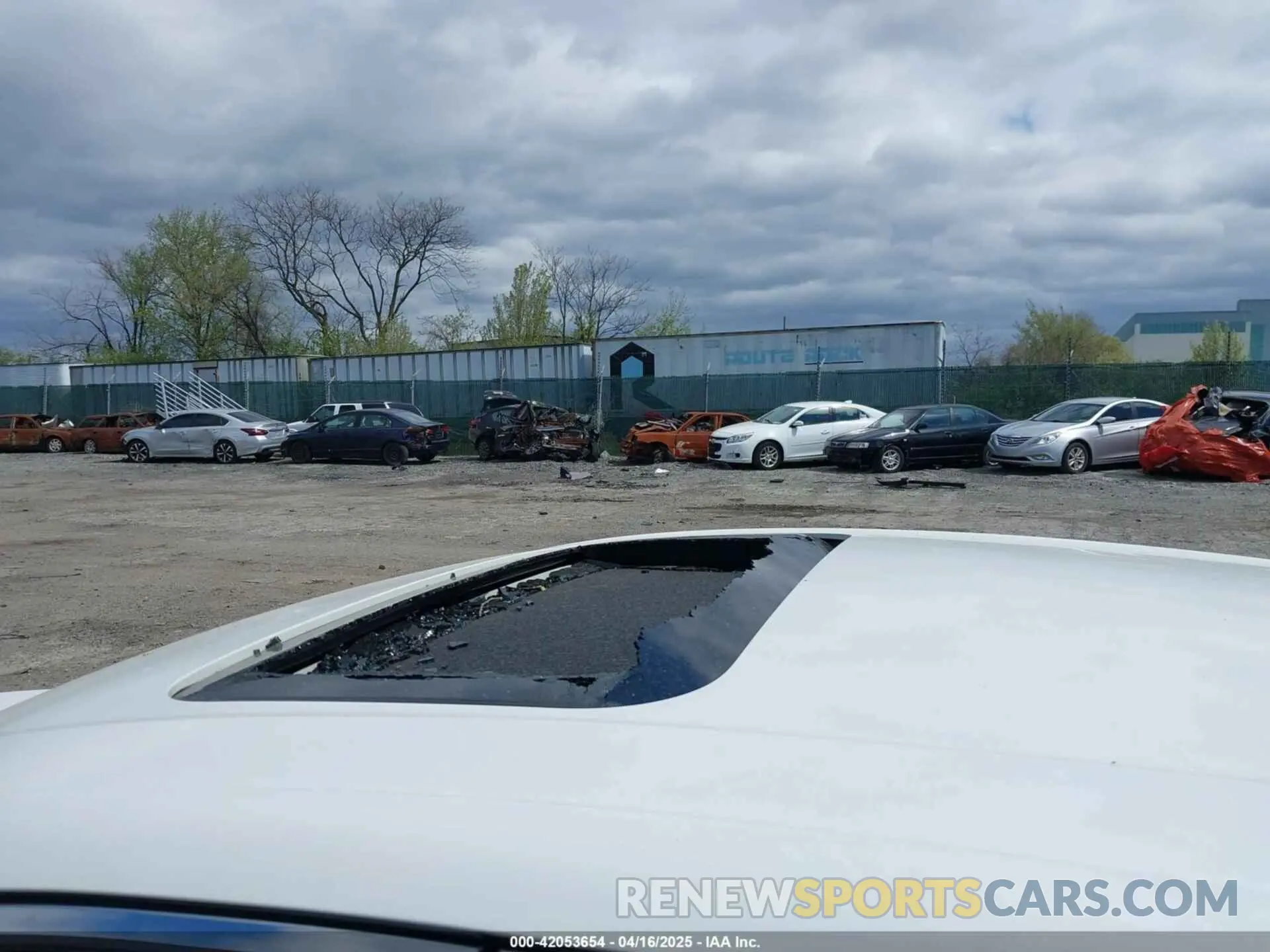 6 Photograph of a damaged car 19UUB6F42MA011351 ACURA TLX 2021