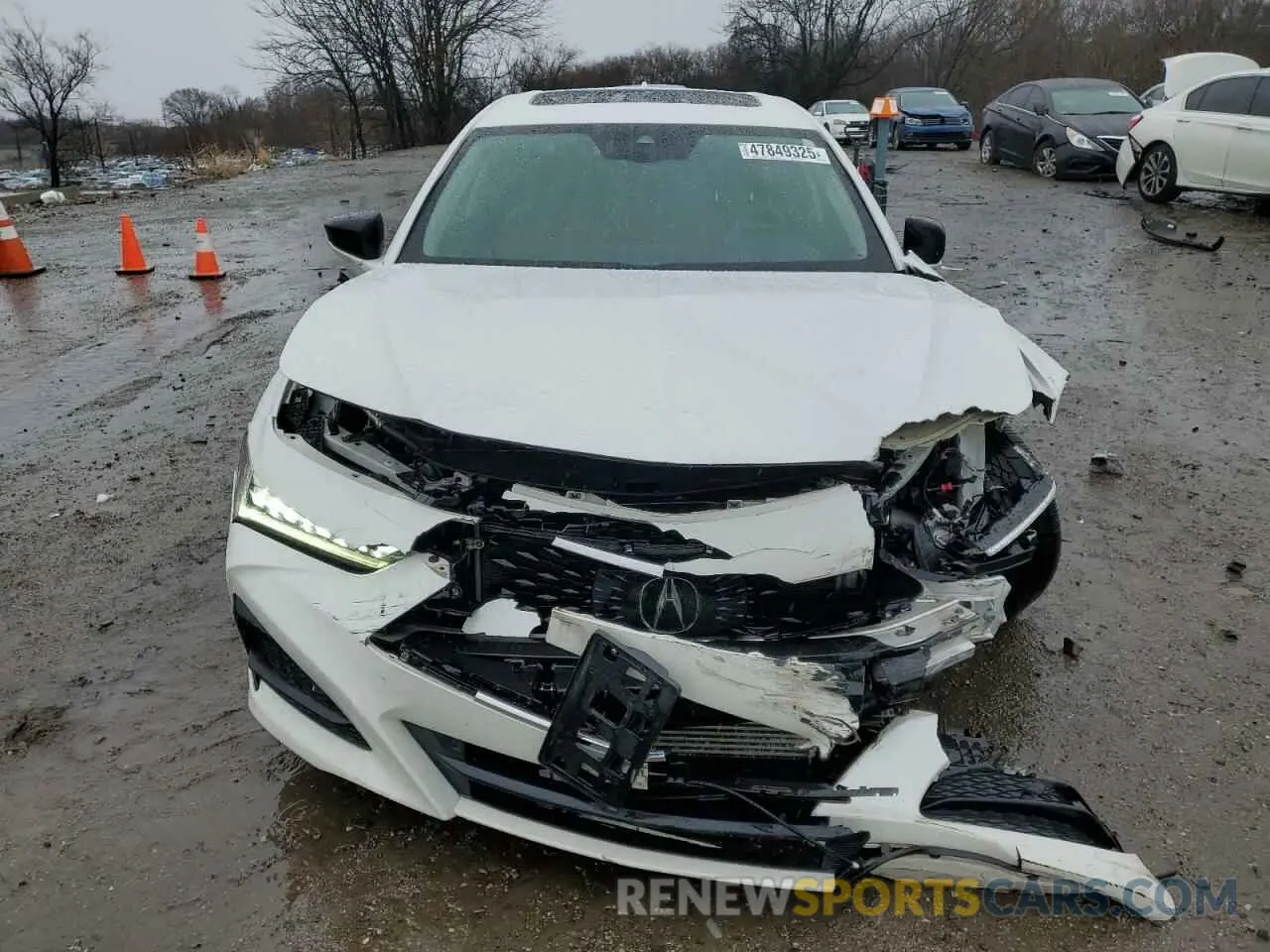 5 Photograph of a damaged car 19UUB6F4XMA008858 ACURA TLX 2021