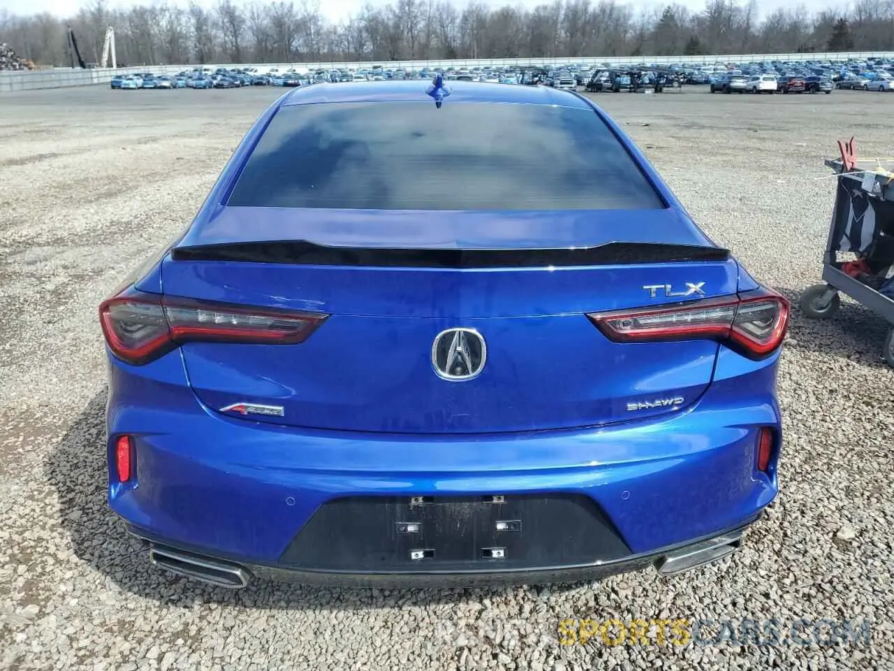 6 Photograph of a damaged car 19UUB6F56MA005965 ACURA TLX 2021