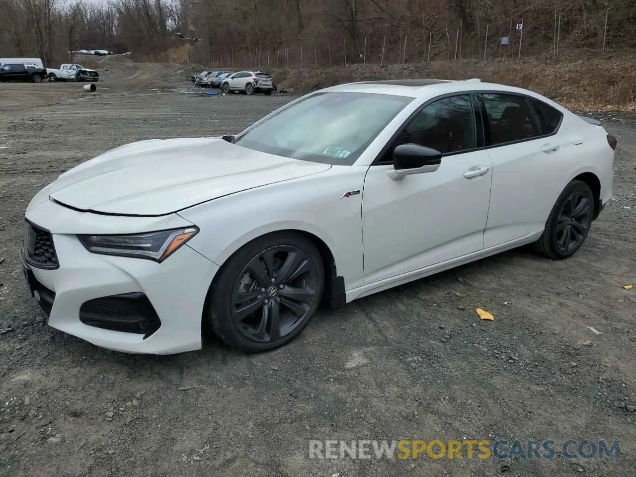 1 Photograph of a damaged car 19UUB6F58MA010150 ACURA TLX 2021