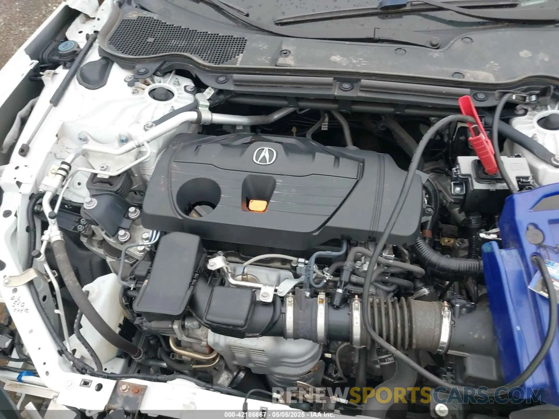 10 Photograph of a damaged car 19UUB6F5XMA002115 ACURA TLX 2021