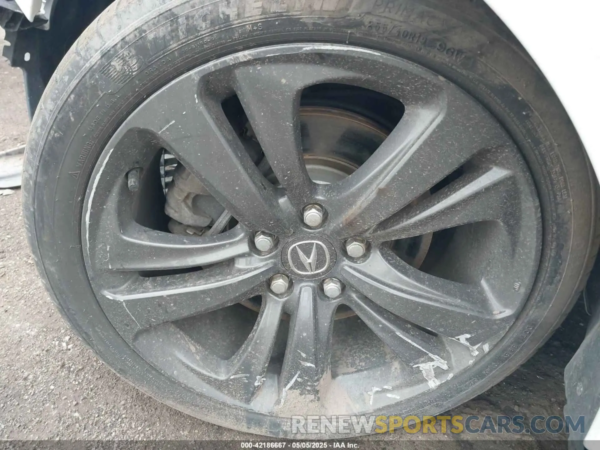 11 Photograph of a damaged car 19UUB6F5XMA002115 ACURA TLX 2021