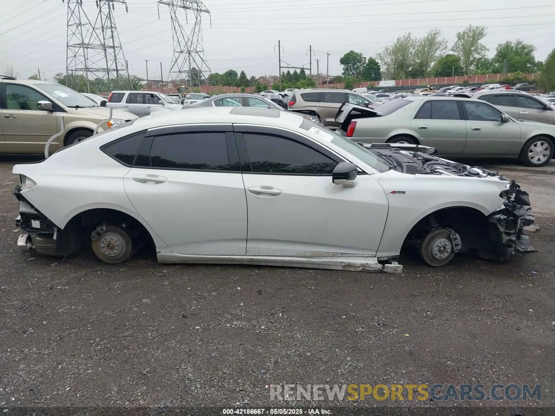 13 Photograph of a damaged car 19UUB6F5XMA002115 ACURA TLX 2021
