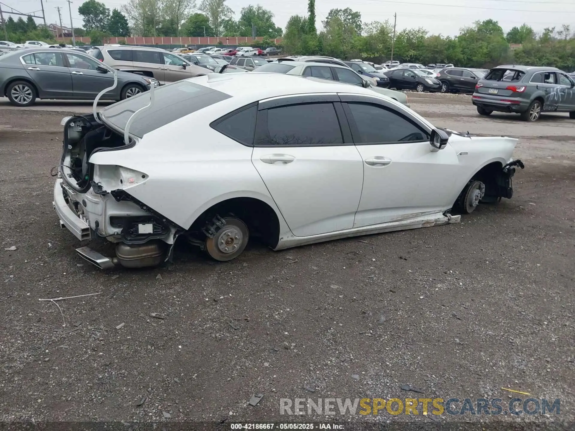 4 Photograph of a damaged car 19UUB6F5XMA002115 ACURA TLX 2021