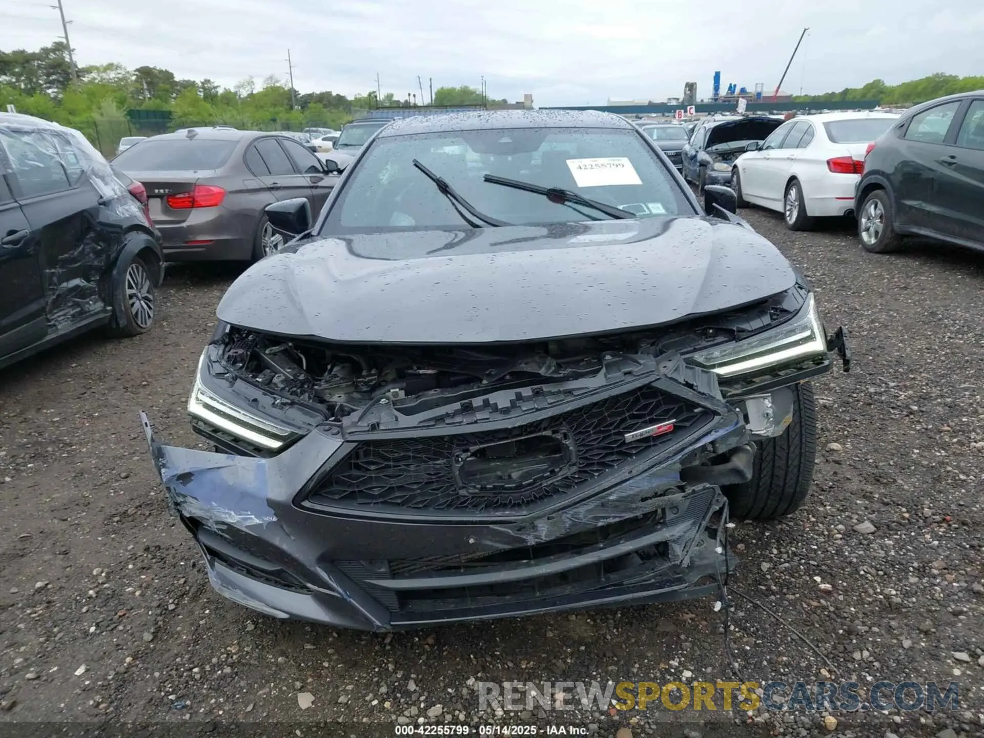 12 Photograph of a damaged car 19UUB5F55NA002986 ACURA TLX 2022
