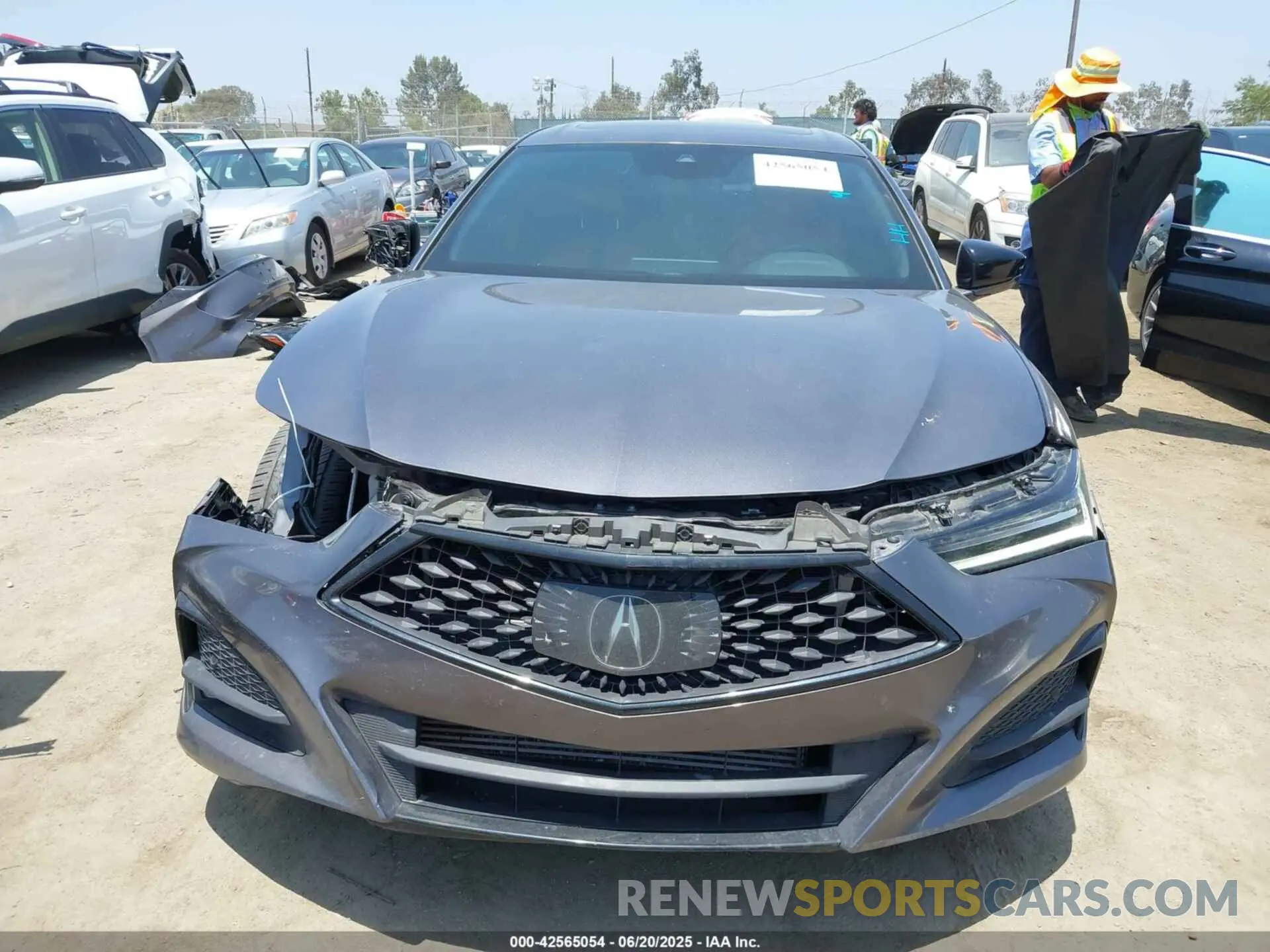 13 Photograph of a damaged car 19UUB5F57NA005596 ACURA TLX 2022
