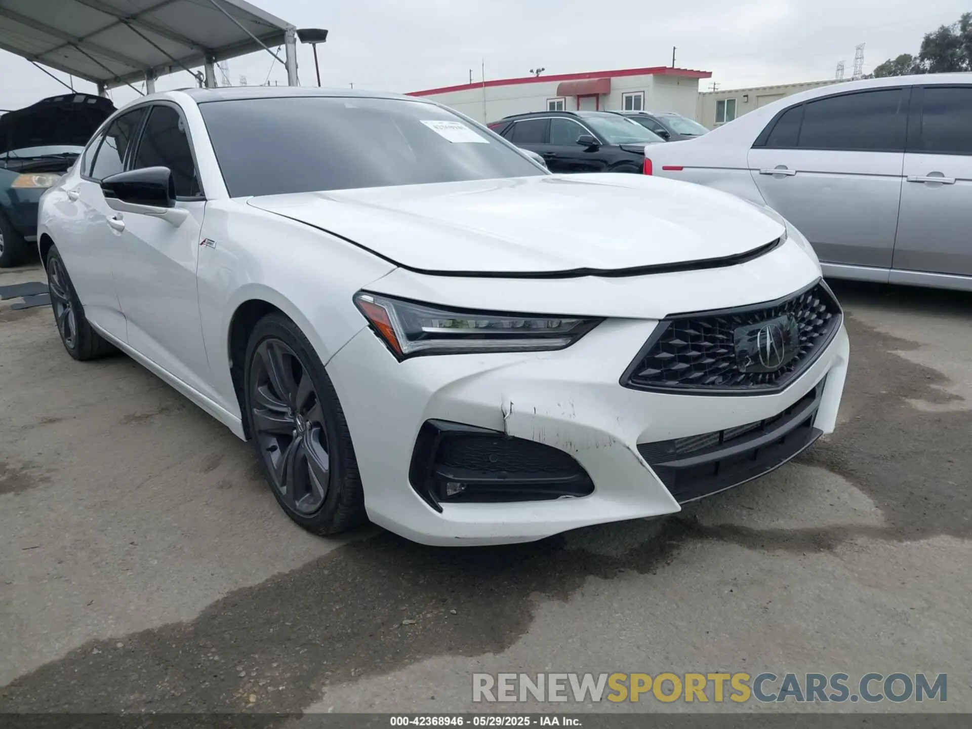 1 Photograph of a damaged car 19UUB5F59NA001954 ACURA TLX 2022