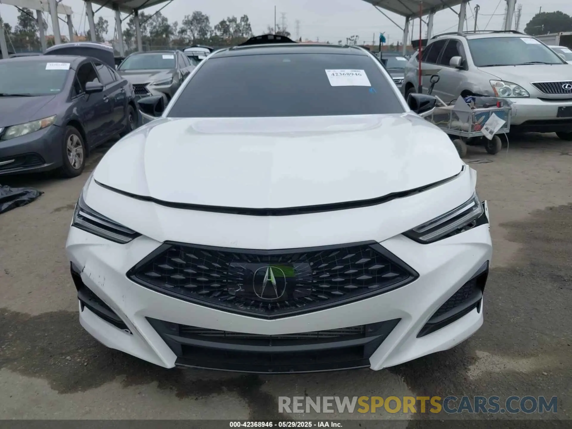 12 Photograph of a damaged car 19UUB5F59NA001954 ACURA TLX 2022