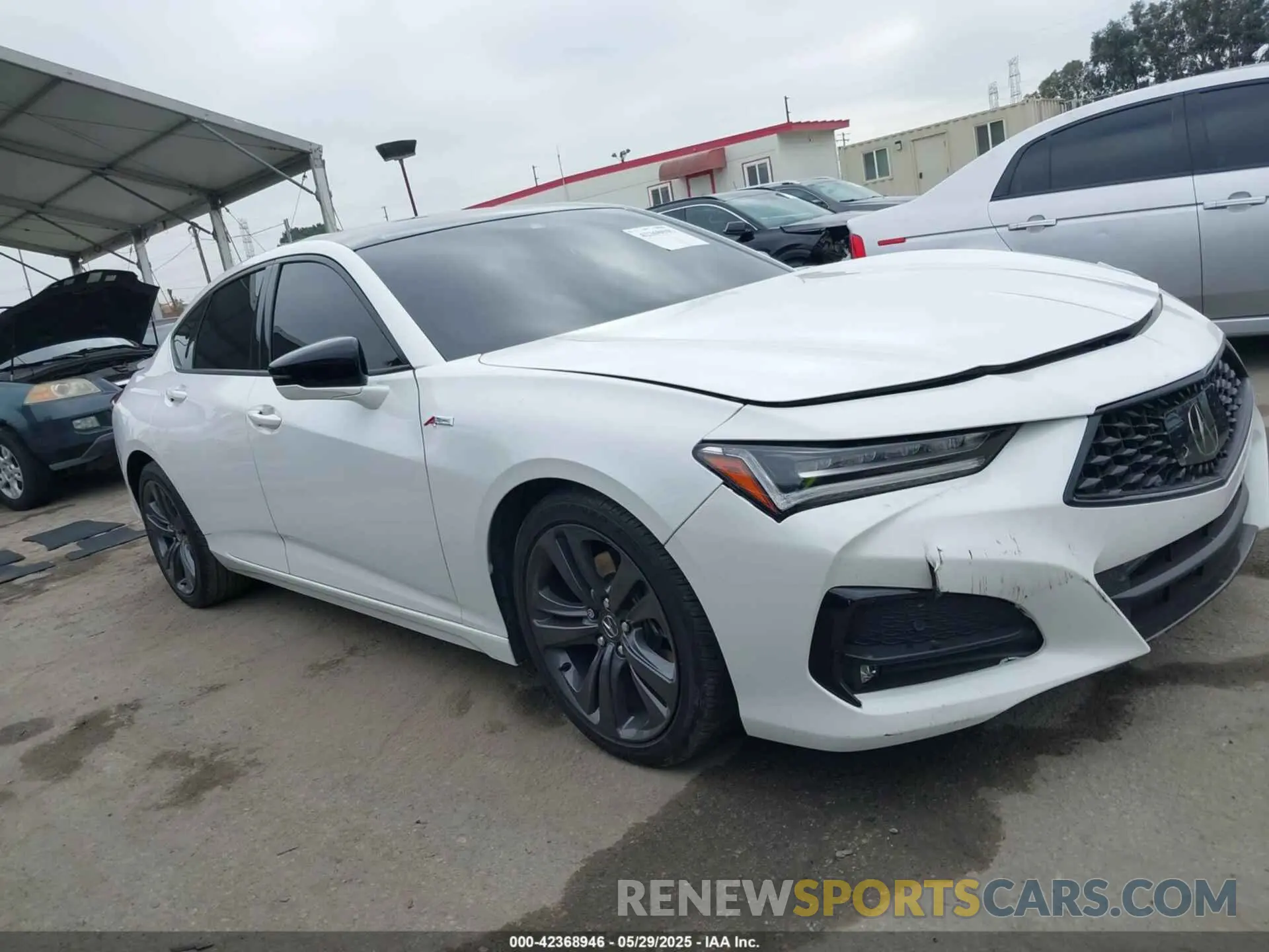 13 Photograph of a damaged car 19UUB5F59NA001954 ACURA TLX 2022