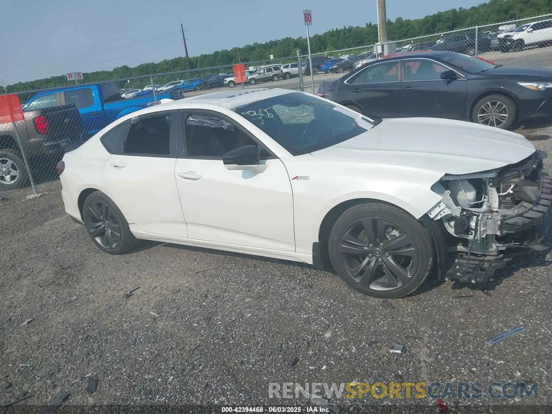 13 Photograph of a damaged car 19UUB5F59NA003672 ACURA TLX 2022