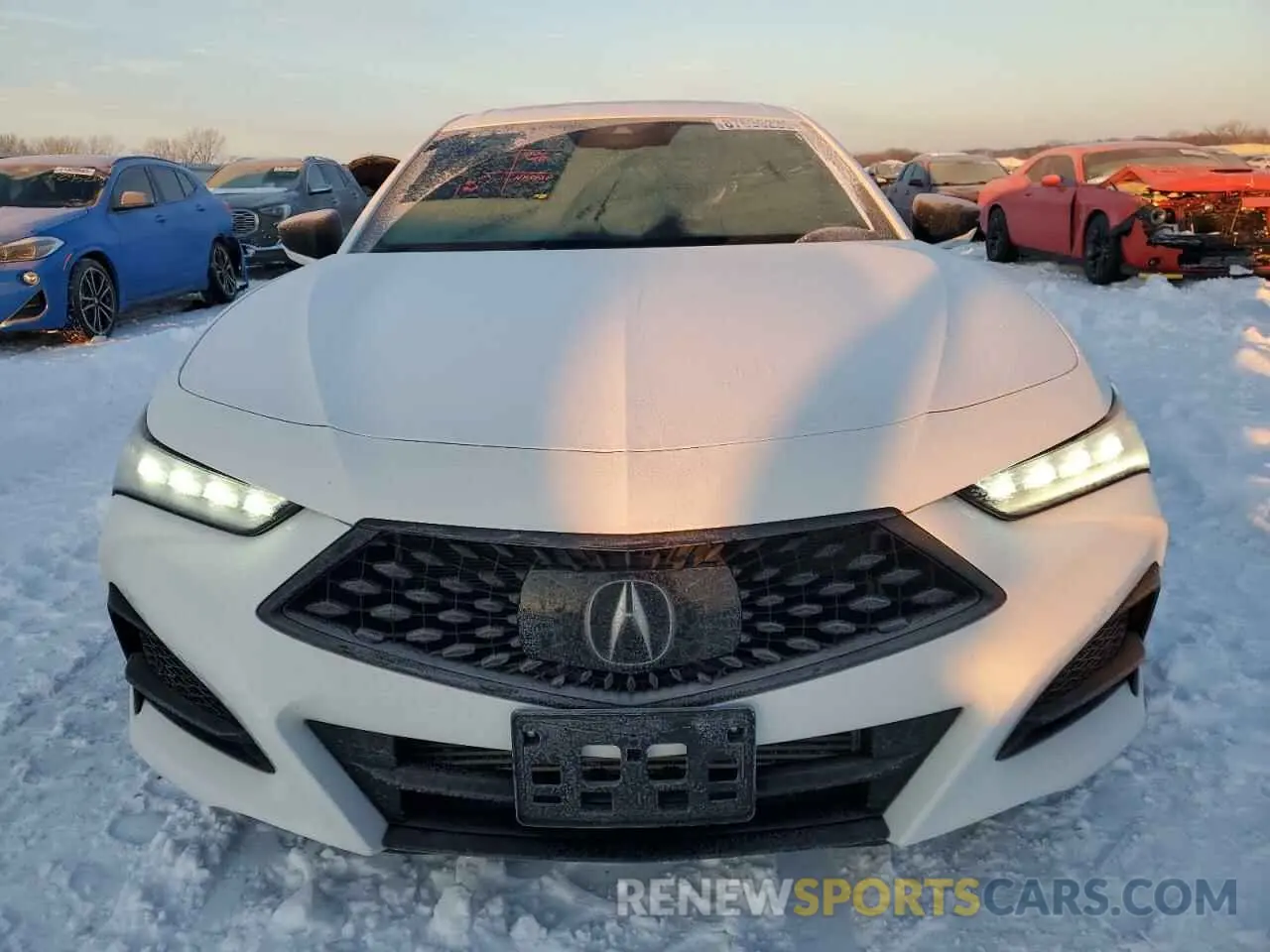 5 Photograph of a damaged car 19UUB6F50NA002030 ACURA TLX 2022