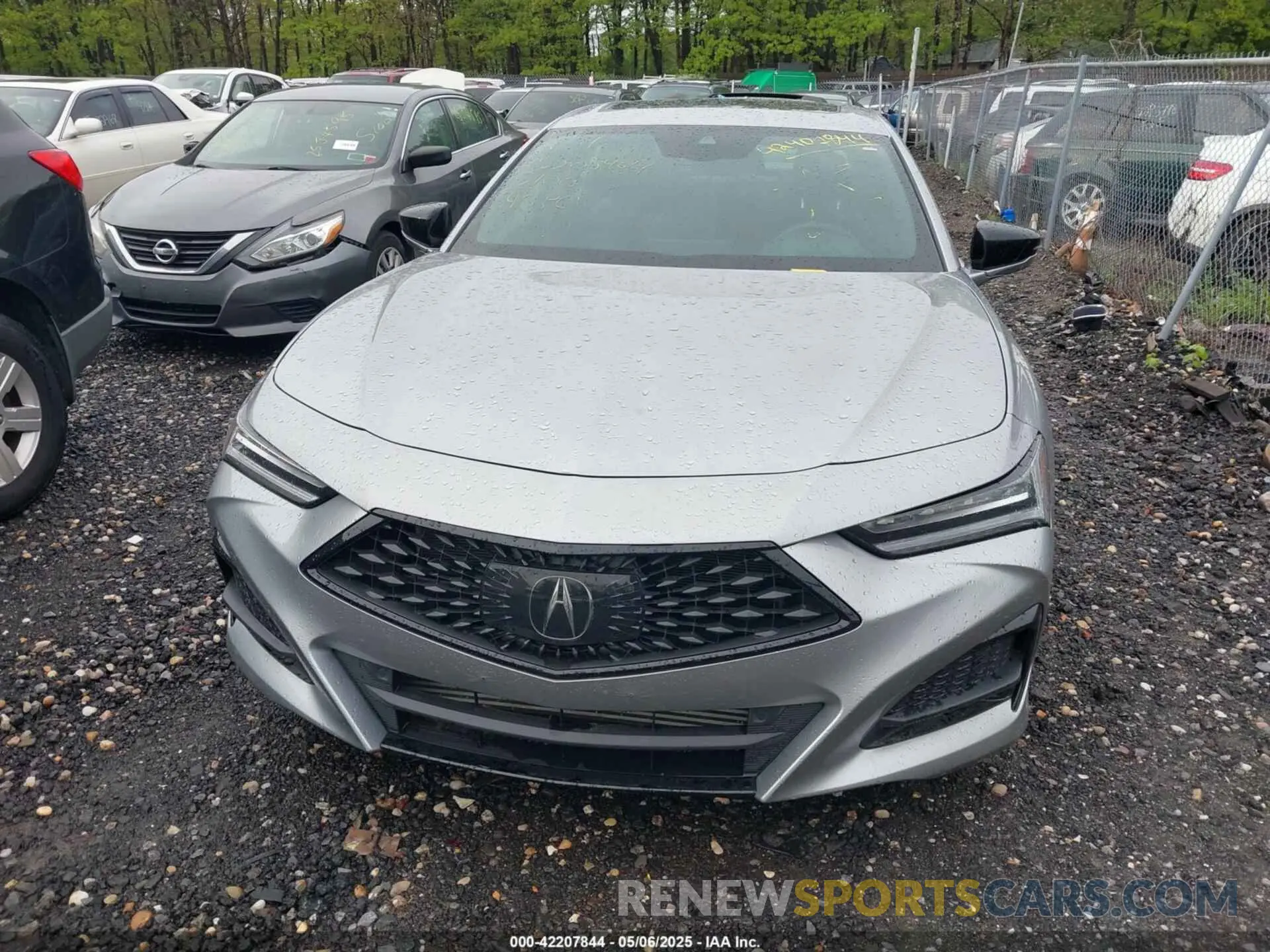 11 Photograph of a damaged car 19UUB6F51NA000805 ACURA TLX 2022