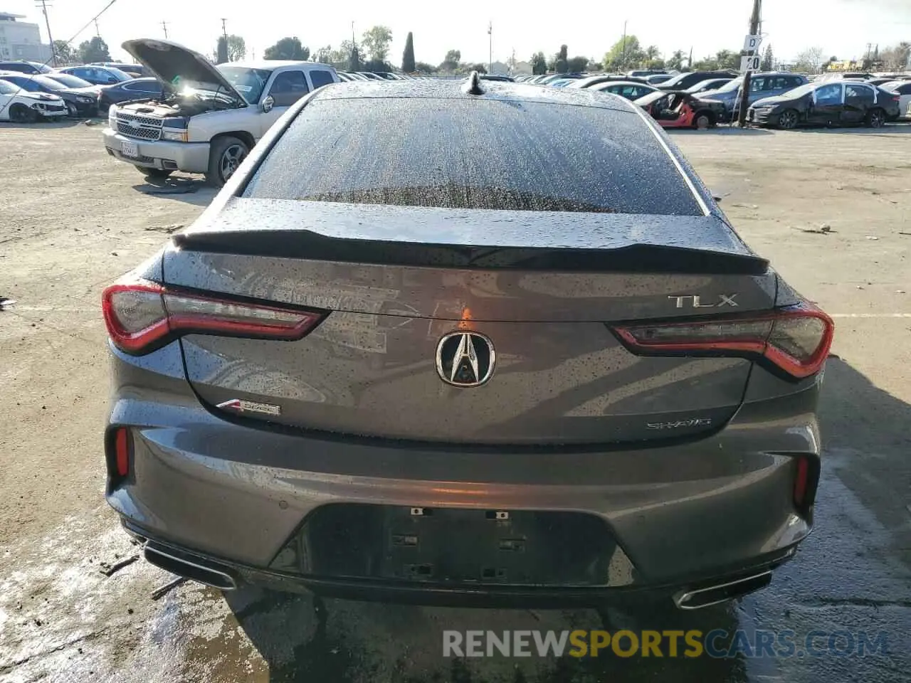 6 Photograph of a damaged car 19UUB6F58NA000168 ACURA TLX 2022