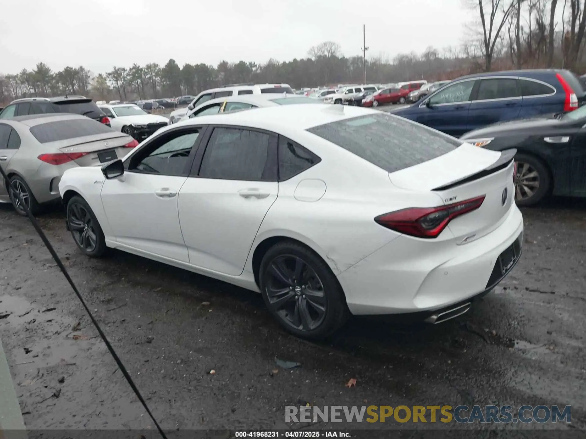14 Photograph of a damaged car 19UUB6F52PA002372 ACURA TLX 2023