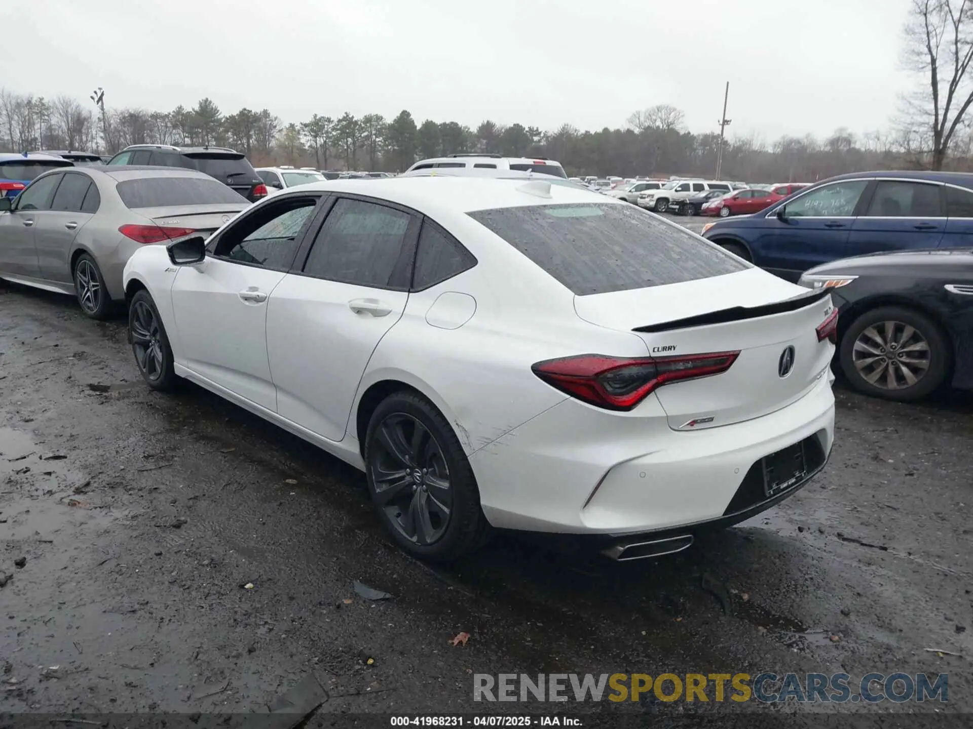 3 Photograph of a damaged car 19UUB6F52PA002372 ACURA TLX 2023