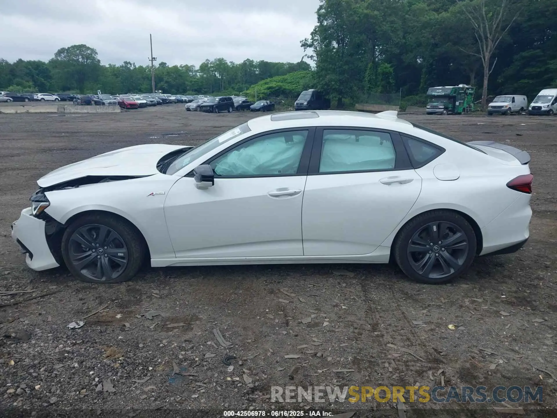 14 Photograph of a damaged car 19UUB6F57PA005591 ACURA TLX 2023
