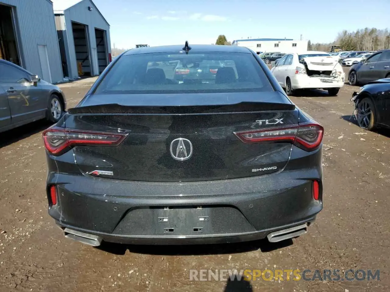 6 Photograph of a damaged car 19UUB6F58PA800035 ACURA TLX 2023