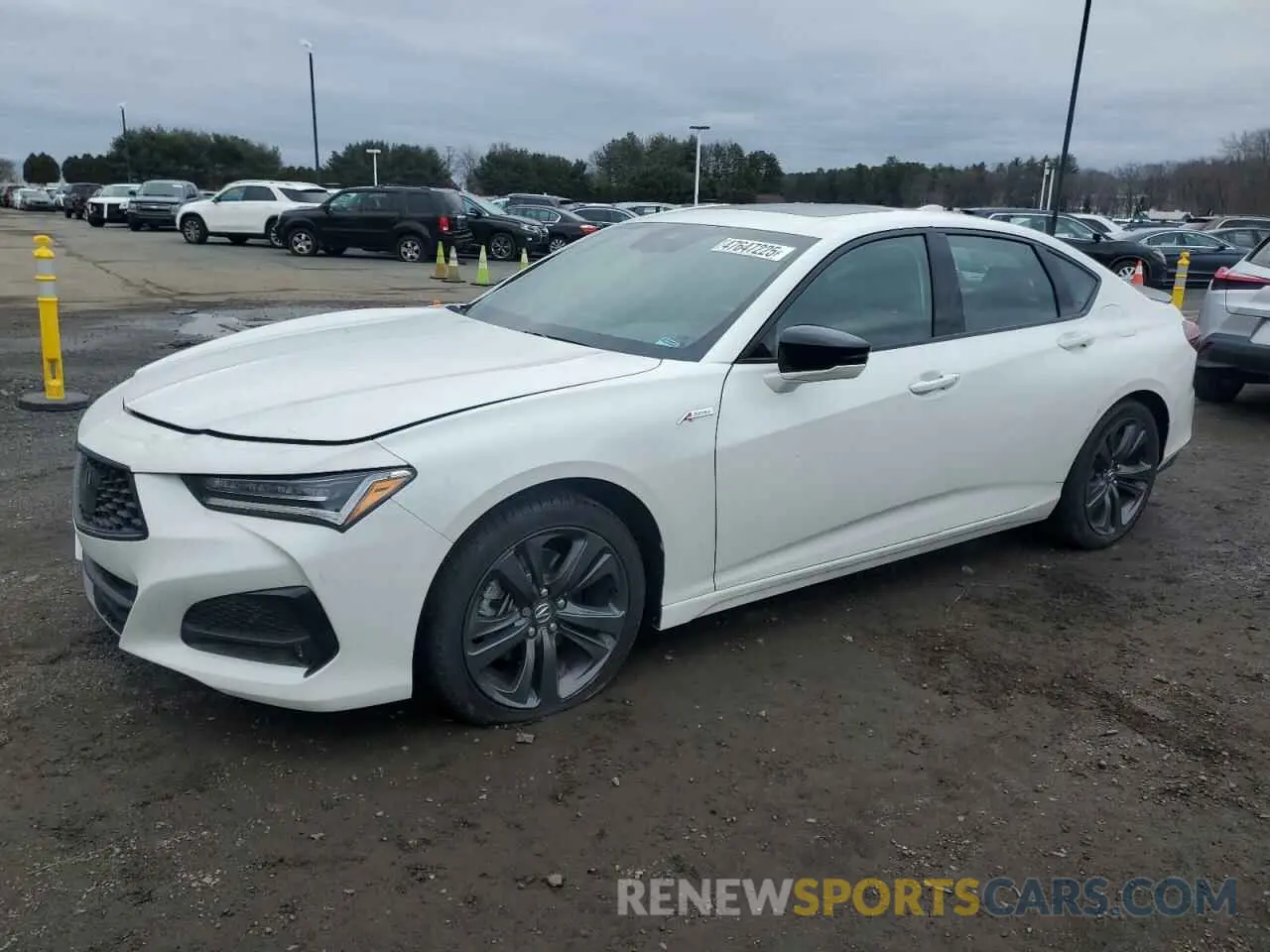 1 Photograph of a damaged car 19UUB6F5XPA004984 ACURA TLX 2023