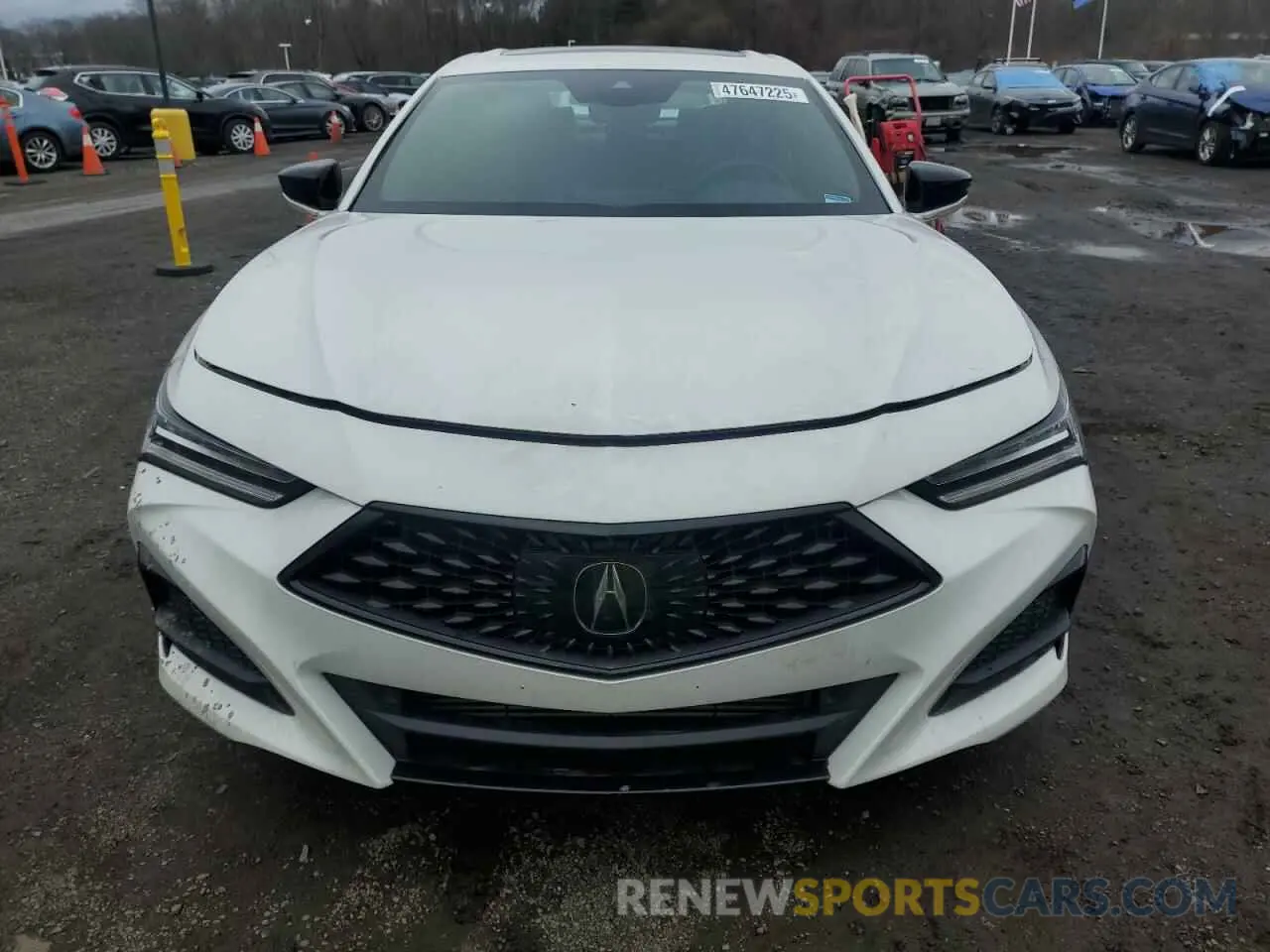 5 Photograph of a damaged car 19UUB6F5XPA004984 ACURA TLX 2023