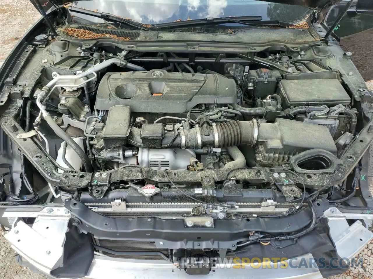 11 Photograph of a damaged car 19UUB6F63PA004219 ACURA TLX 2023