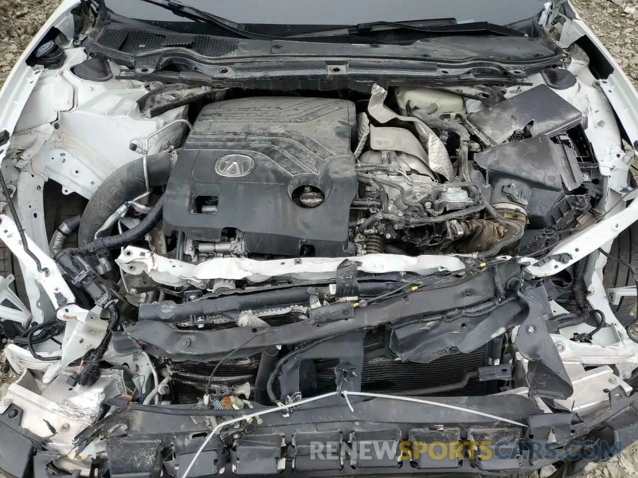 11 Photograph of a damaged car 19UUB7F92PA002817 ACURA TLX 2023