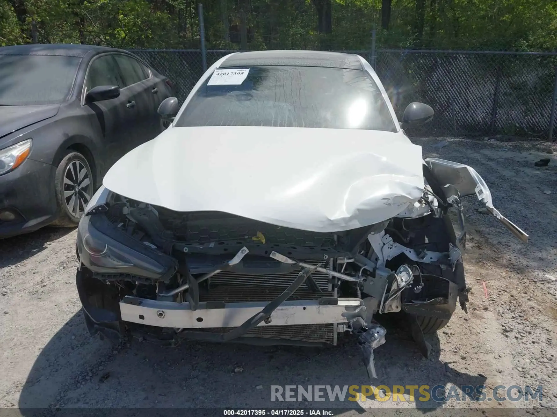 12 Photograph of a damaged car ZARFAMAN3K7622360 ALFA ROMEO GIULIA 2019