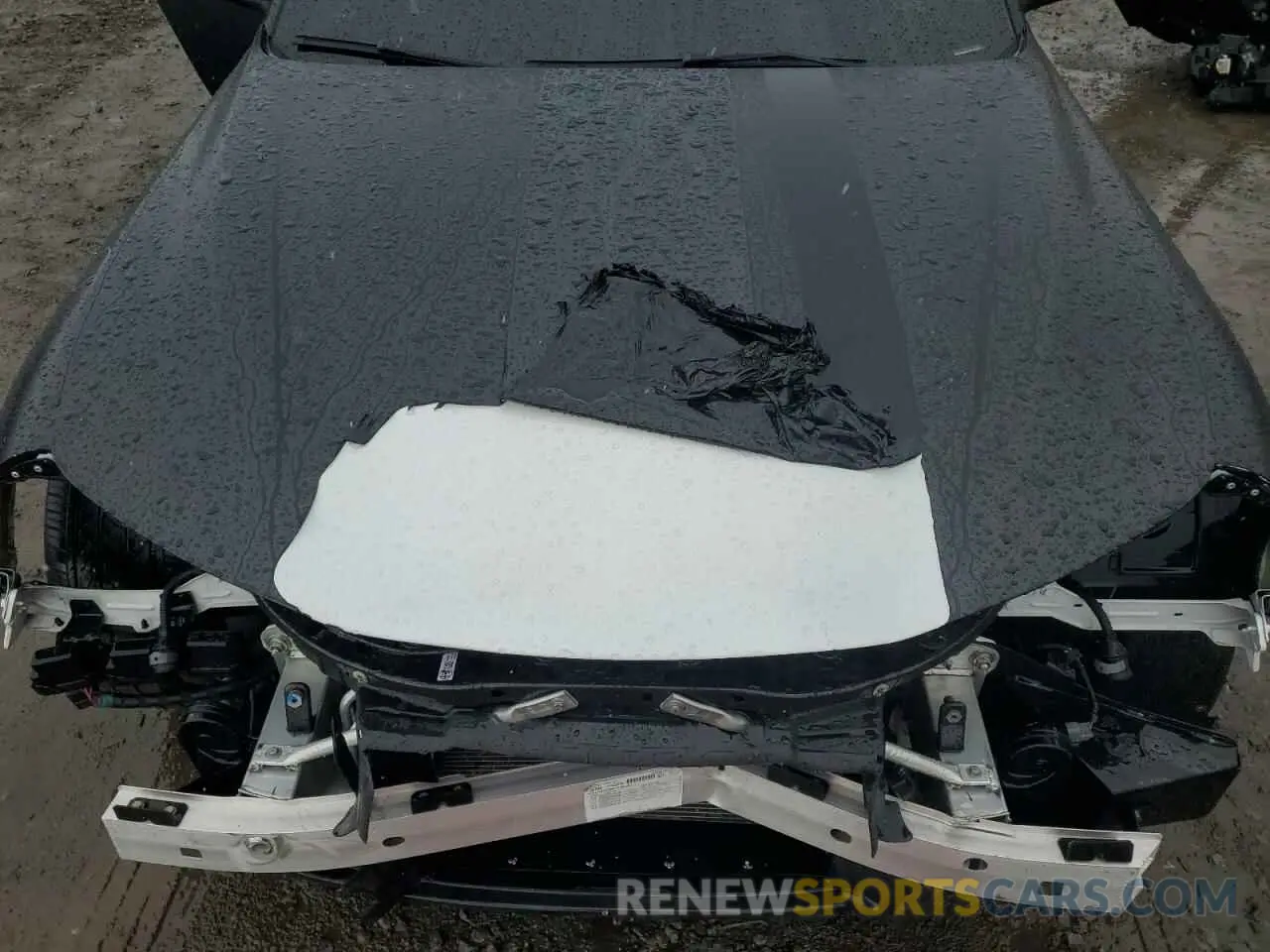 11 Photograph of a damaged car ZARFAMAN4K7606393 ALFA ROMEO GIULIA 2019