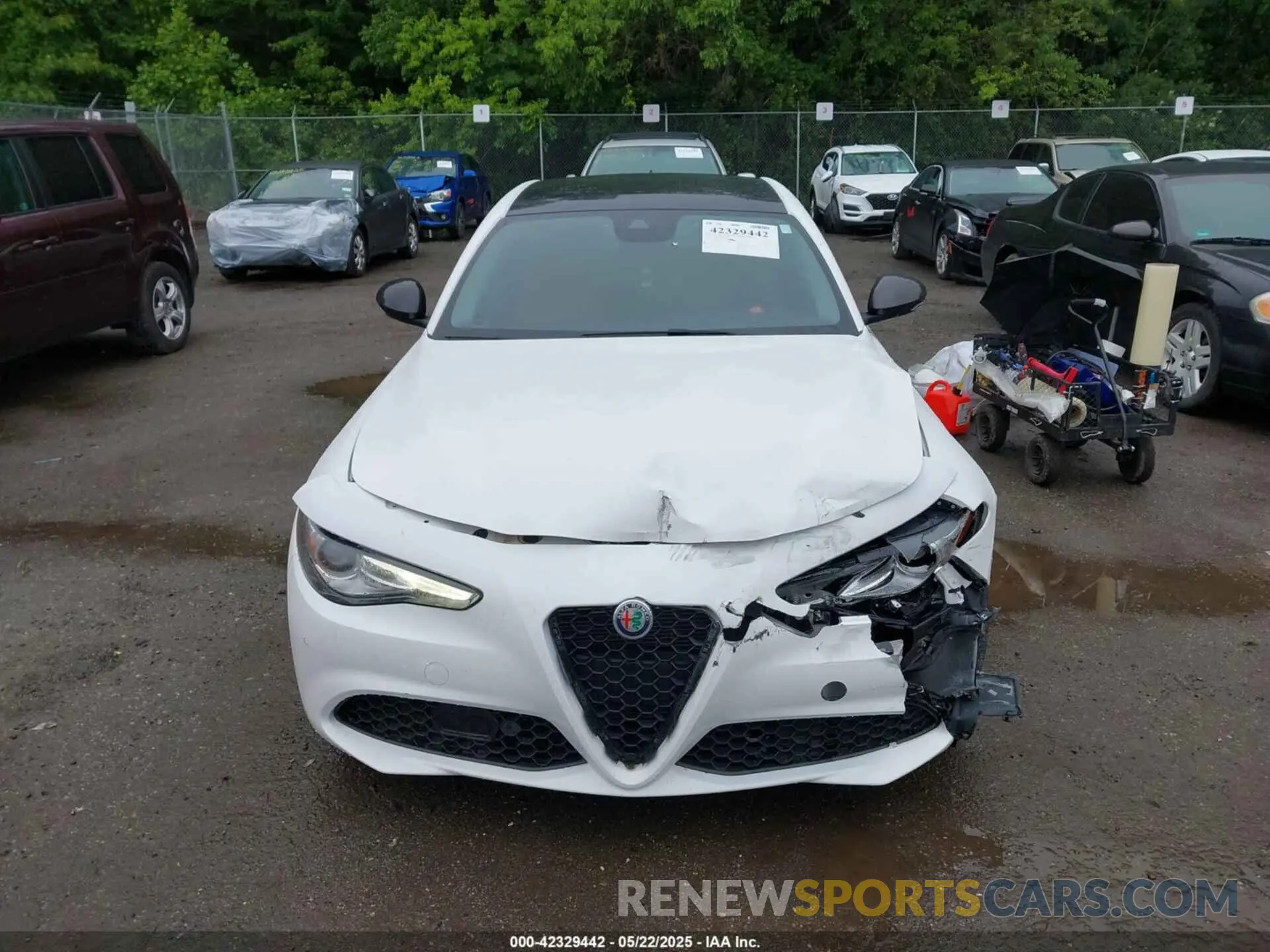 12 Photograph of a damaged car ZARFAMBN9M7640461 ALFA ROMEO GIULIA 2021
