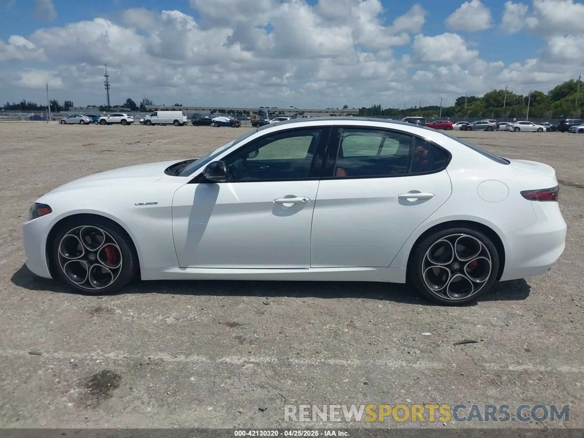 14 Photograph of a damaged car ZARFAMBN8R7679971 ALFA ROMEO GIULIA 2024