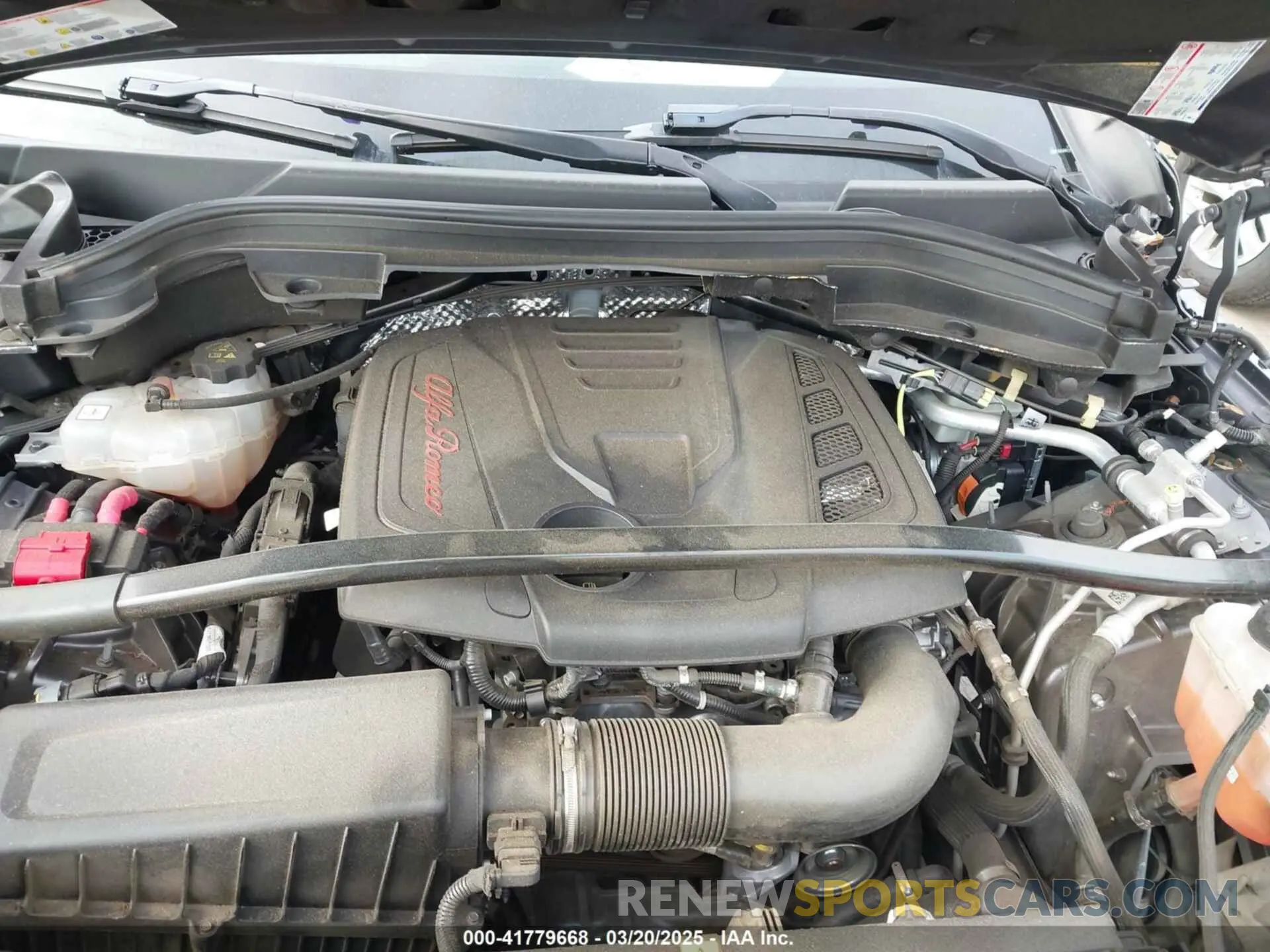 10 Photograph of a damaged car ZASPAKAN7K7C30248 ALFA ROMEO STELVIO 2019