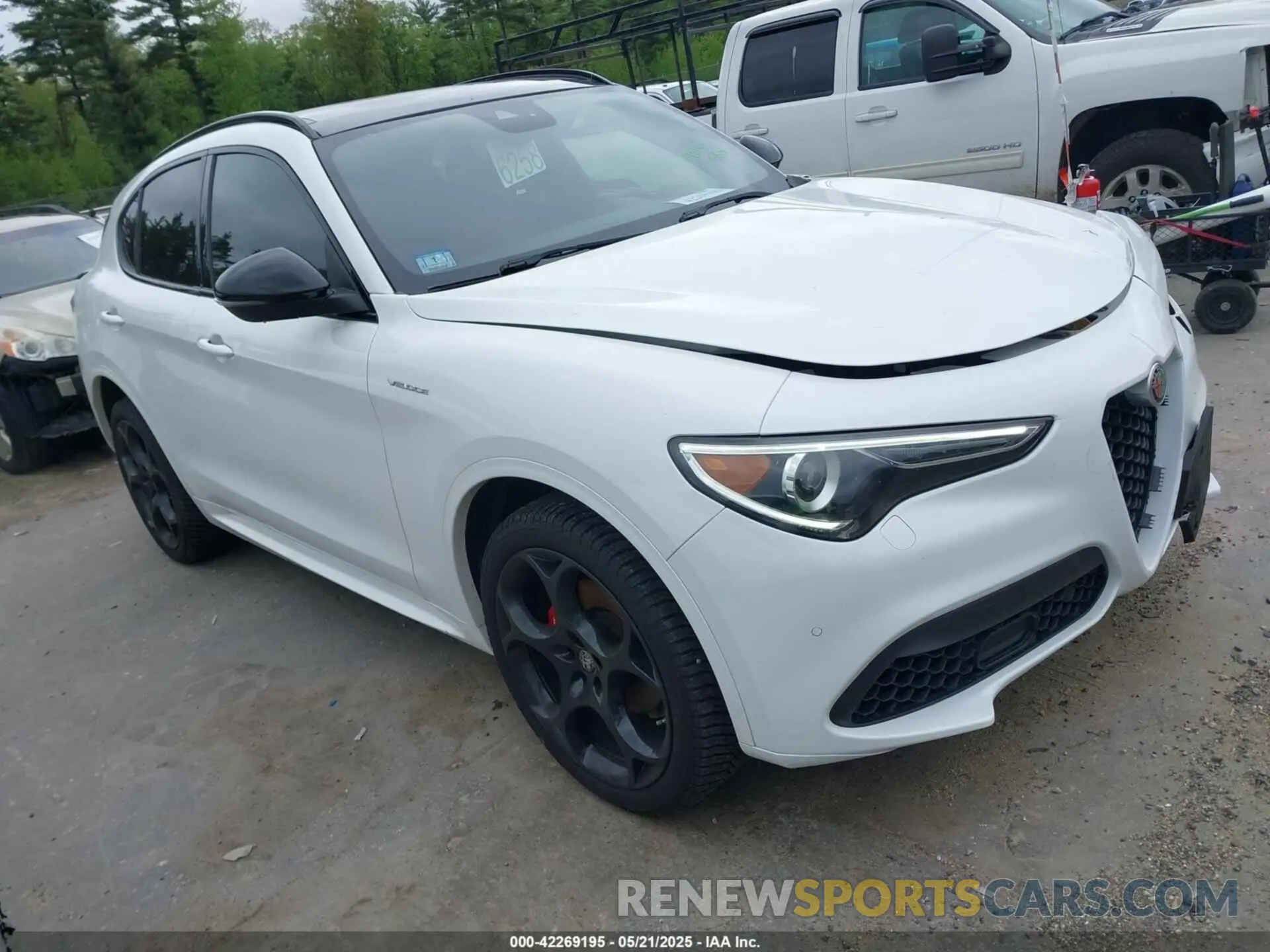 1 Photograph of a damaged car ZASPAKBN0N7D25379 ALFA ROMEO STELVIO 2022