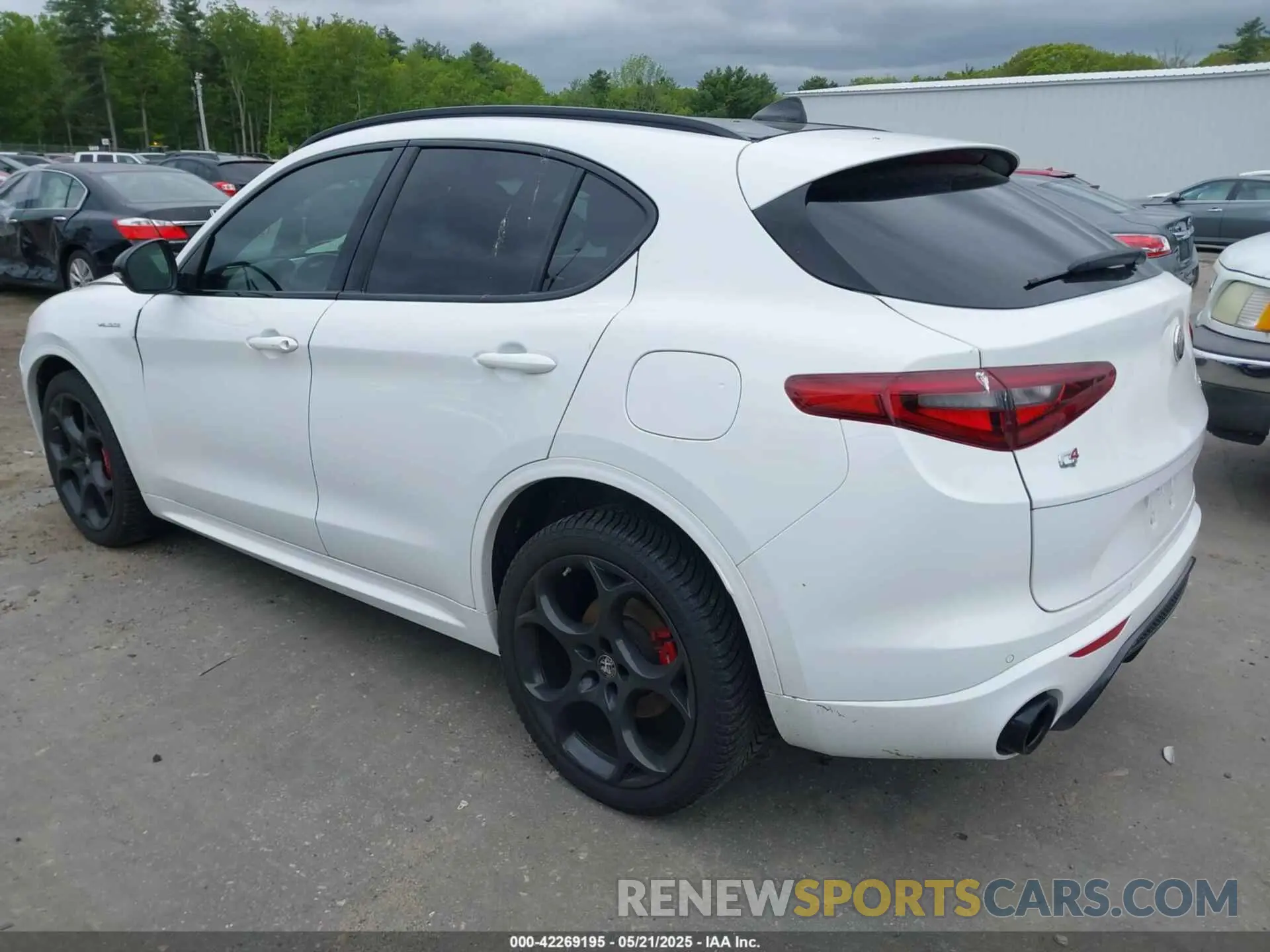 3 Photograph of a damaged car ZASPAKBN0N7D25379 ALFA ROMEO STELVIO 2022