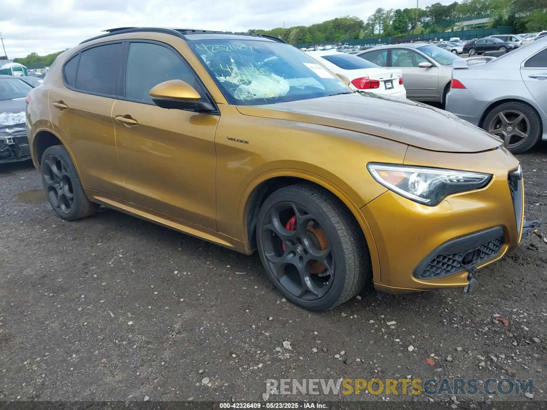 1 Photograph of a damaged car ZASPAKBNXN7D26328 ALFA ROMEO STELVIO 2022
