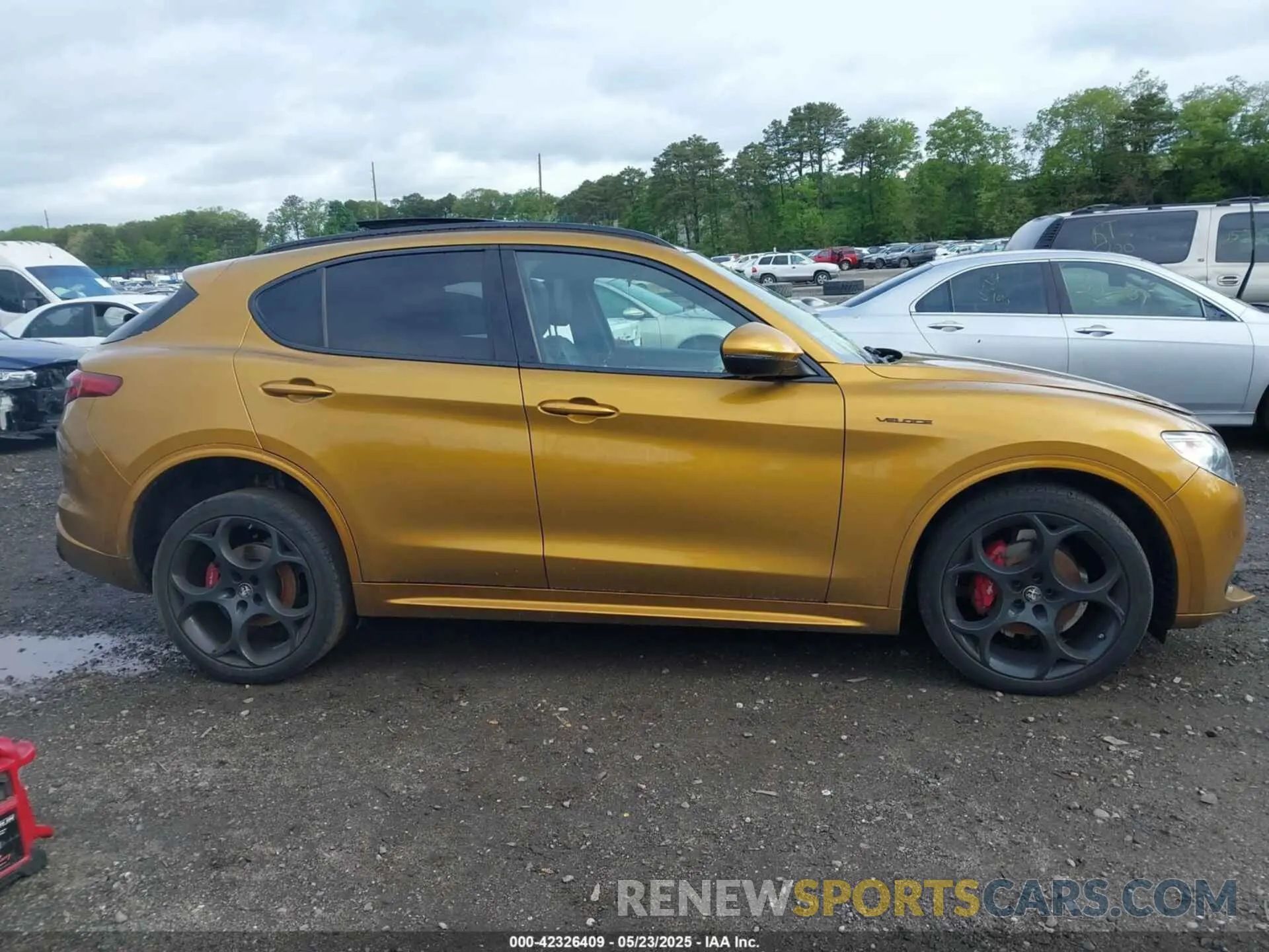 13 Photograph of a damaged car ZASPAKBNXN7D26328 ALFA ROMEO STELVIO 2022