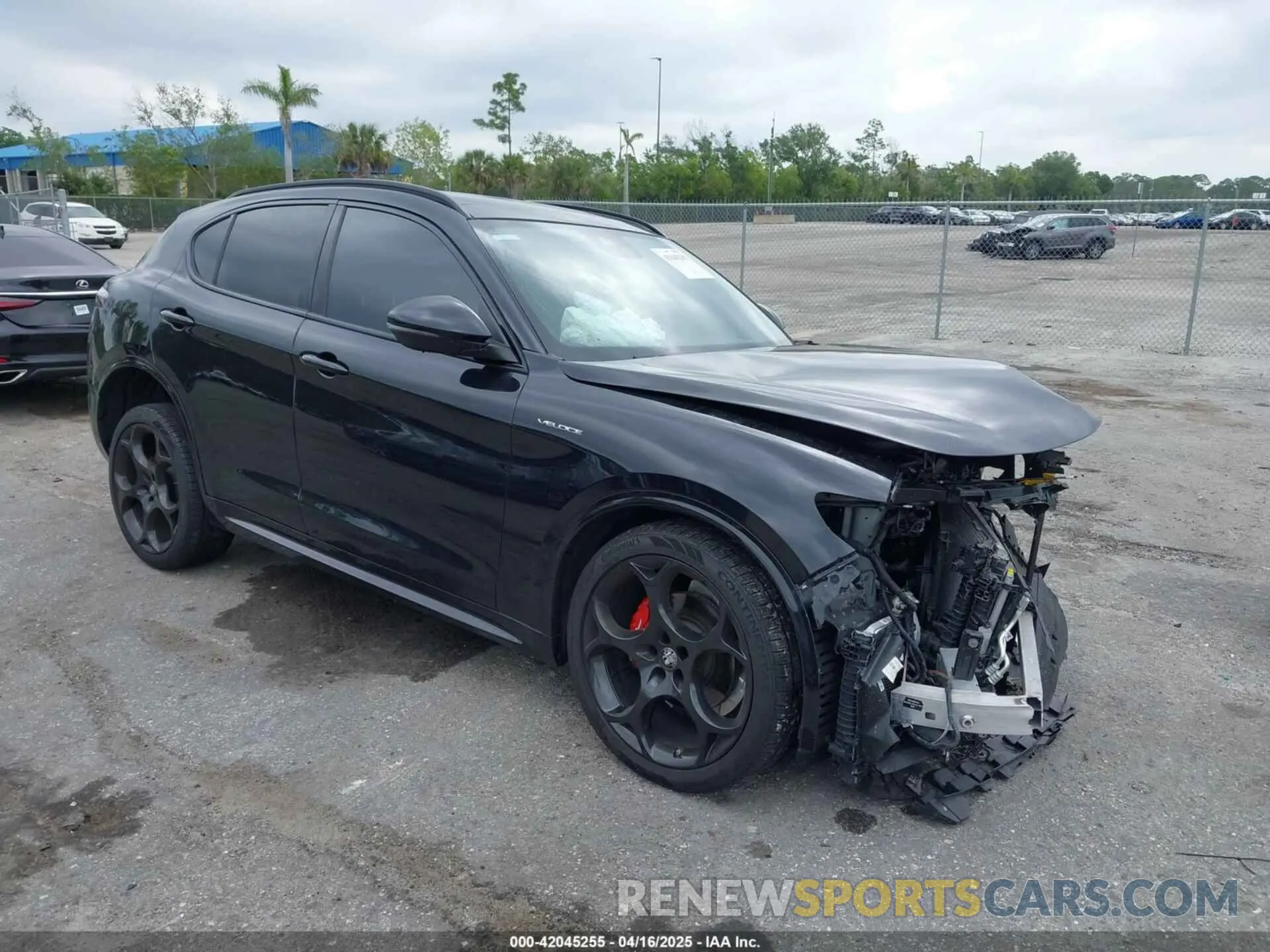 1 Photograph of a damaged car ZASPAKBN0R7D75947 ALFA ROMEO STELVIO 2024