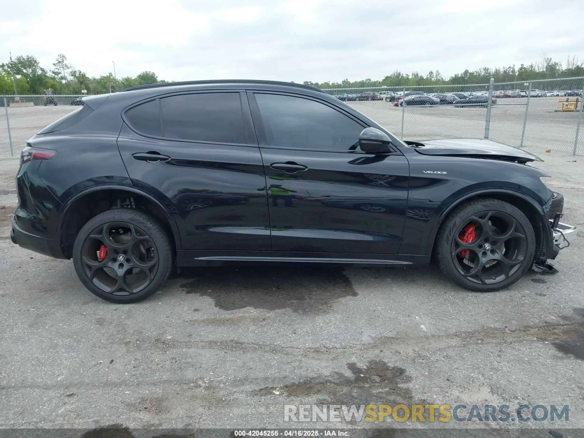 14 Photograph of a damaged car ZASPAKBN0R7D75947 ALFA ROMEO STELVIO 2024