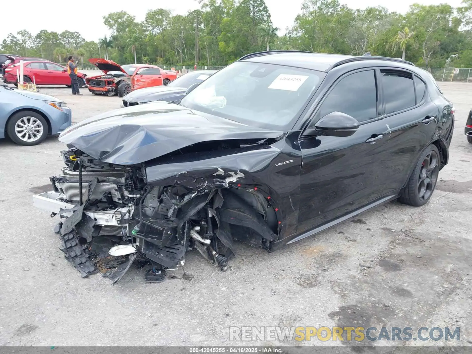 2 Photograph of a damaged car ZASPAKBN0R7D75947 ALFA ROMEO STELVIO 2024