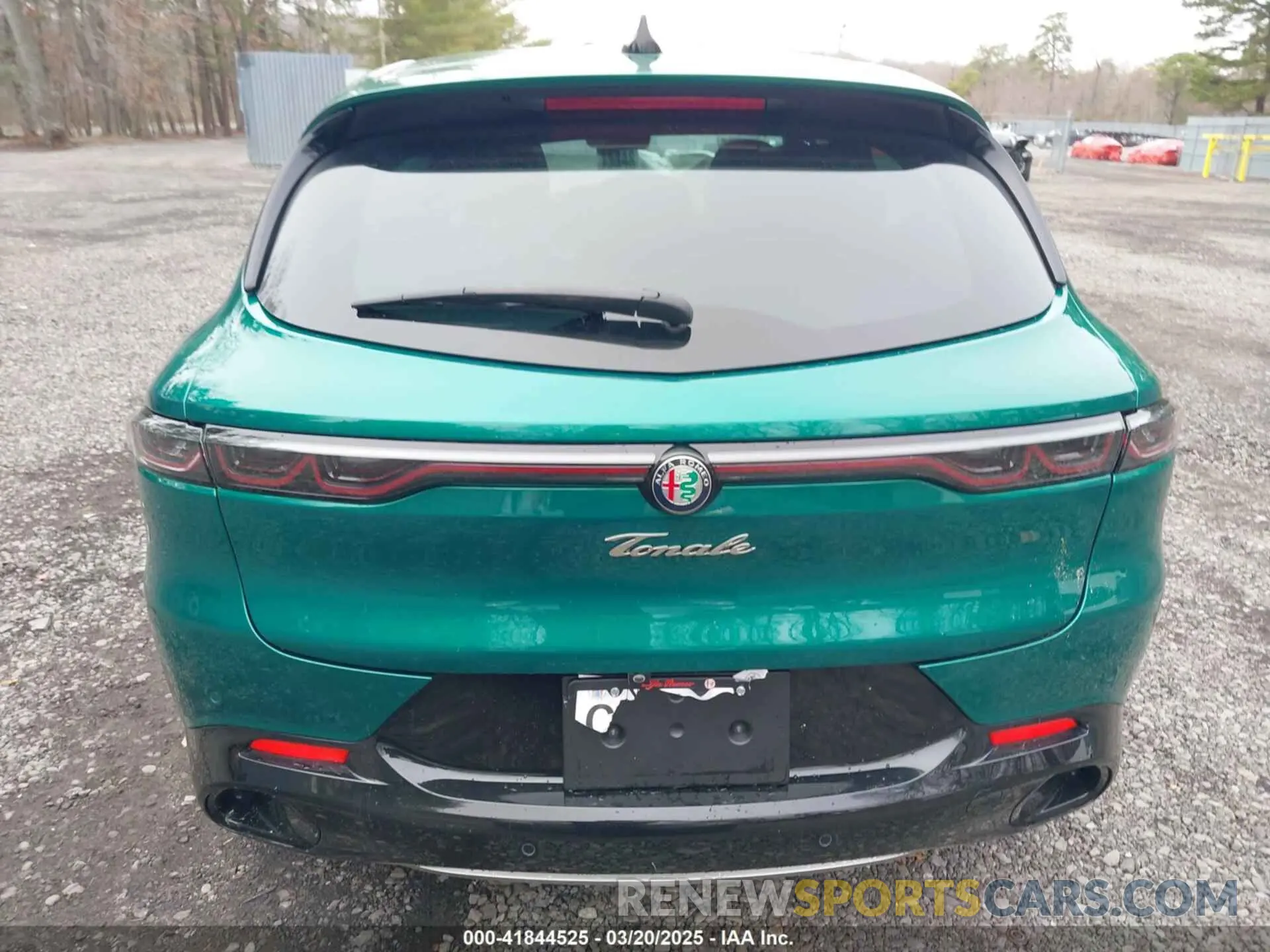 16 Photograph of a damaged car ZASPATCW3R3046855 ALFA ROMEO TONALE 2024
