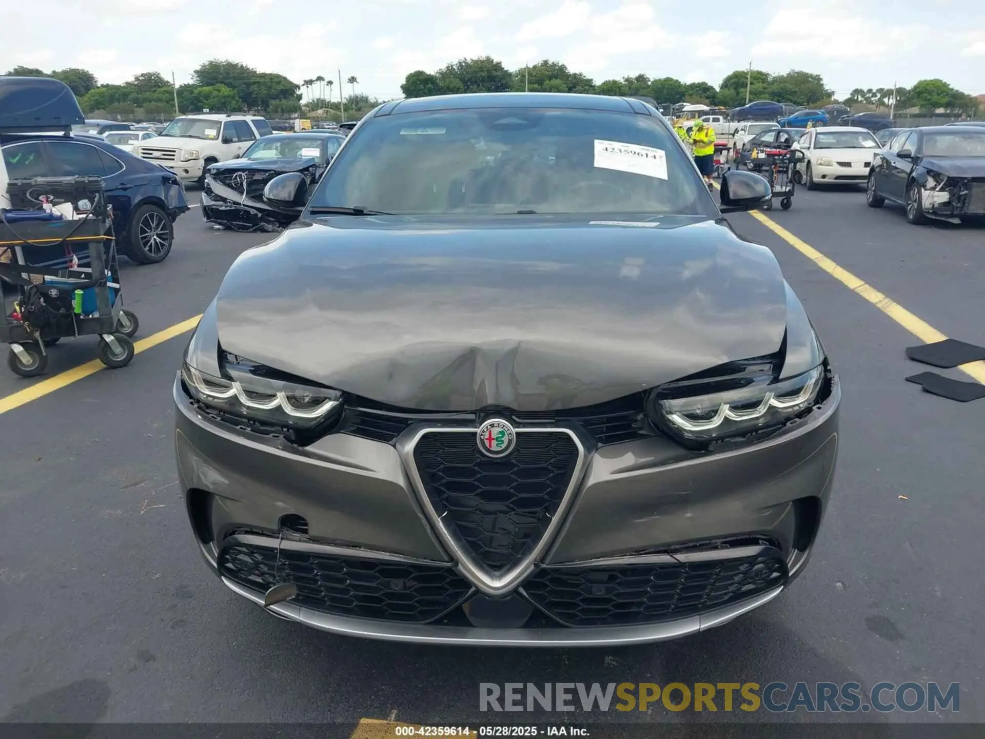 13 Photograph of a damaged car ZASPATCW9R3031941 ALFA ROMEO TONALE 2024