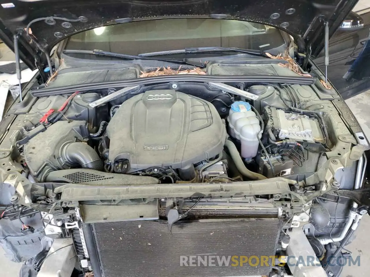 11 Photograph of a damaged car WAUENAF42KN005582 AUDI A4 2019