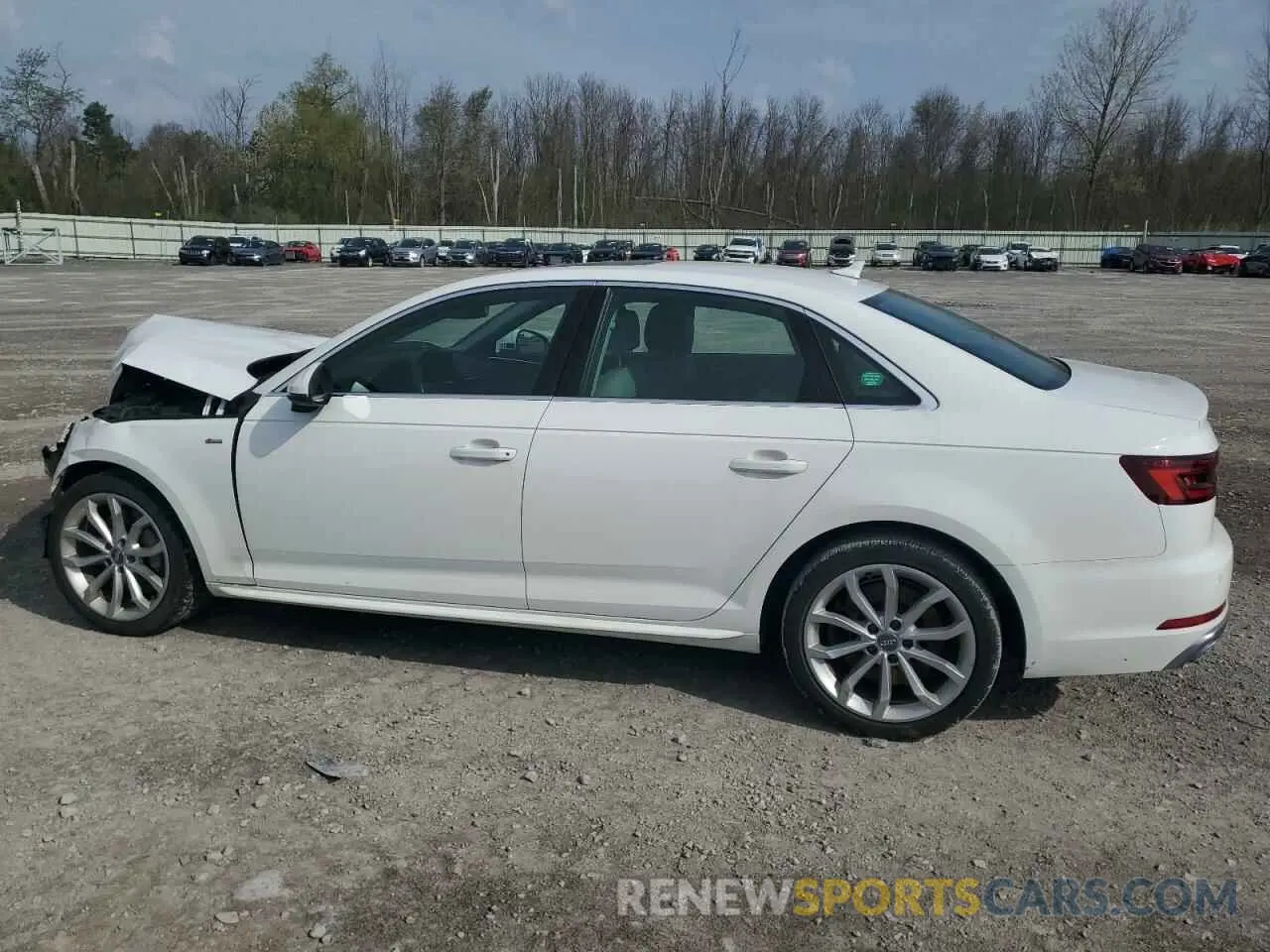 2 Photograph of a damaged car WAUENAF42KN012127 AUDI A4 2019