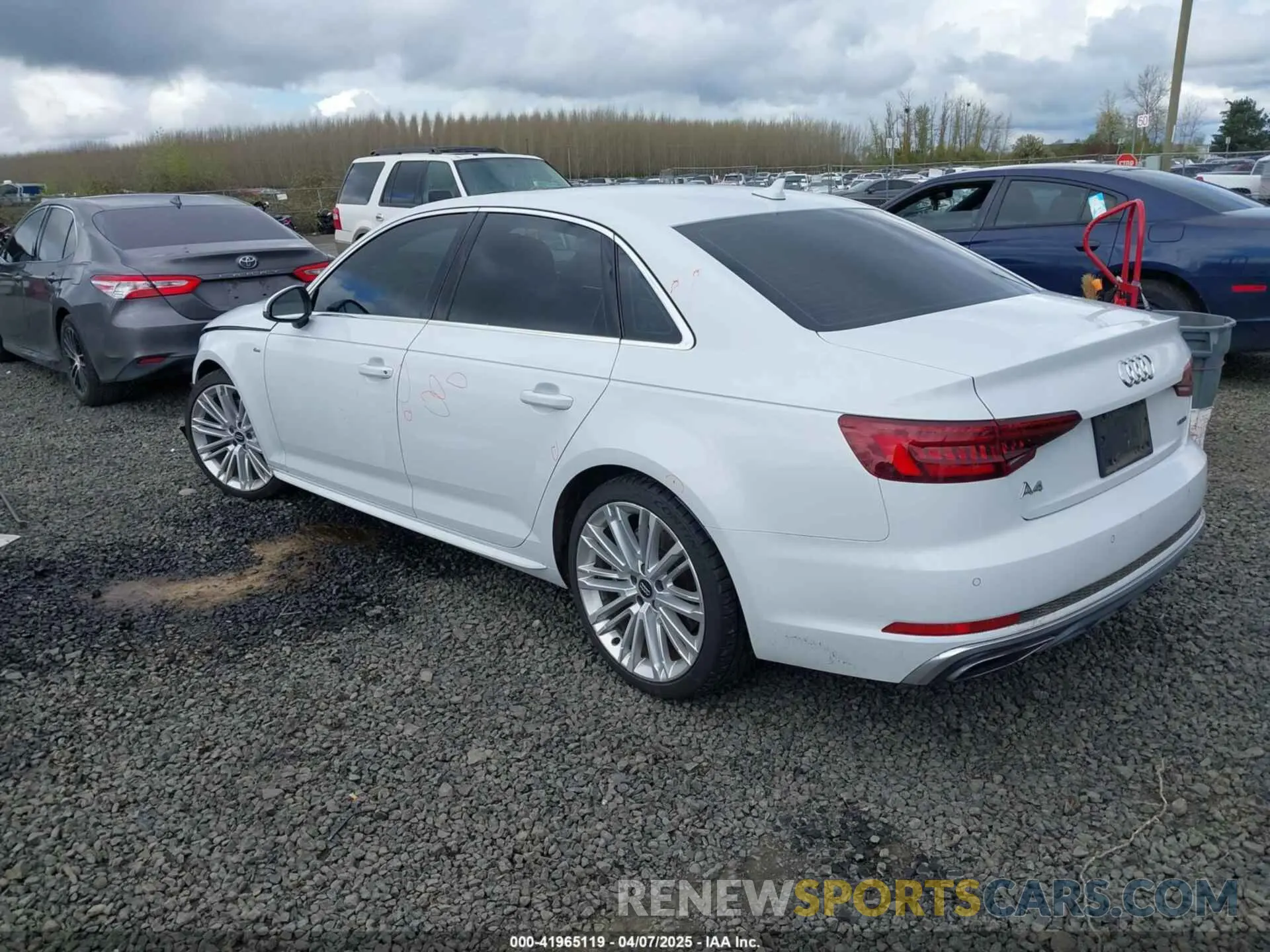 3 Photograph of a damaged car WAUENAF44KN013764 AUDI A4 2019
